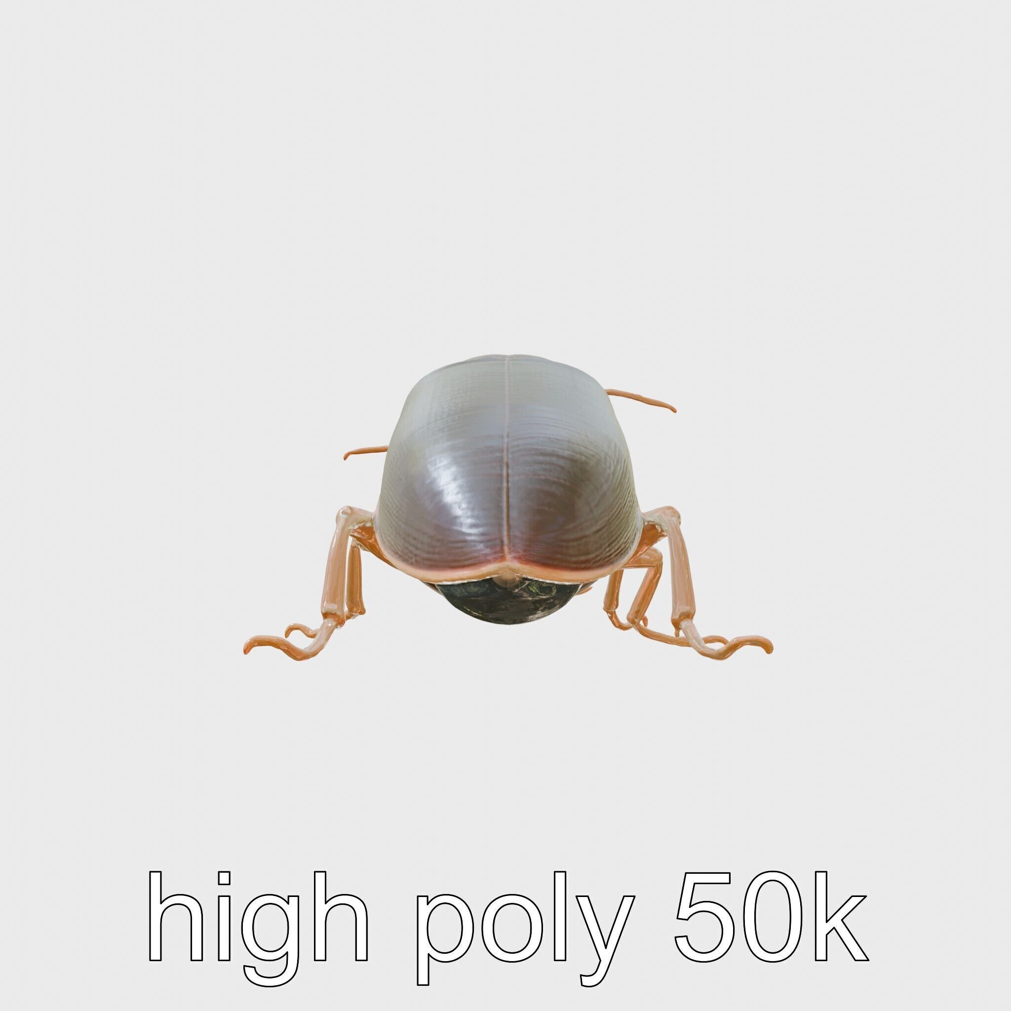 Bug Guardian Cockroach Sculpture model pack Low-poly 3D model_5