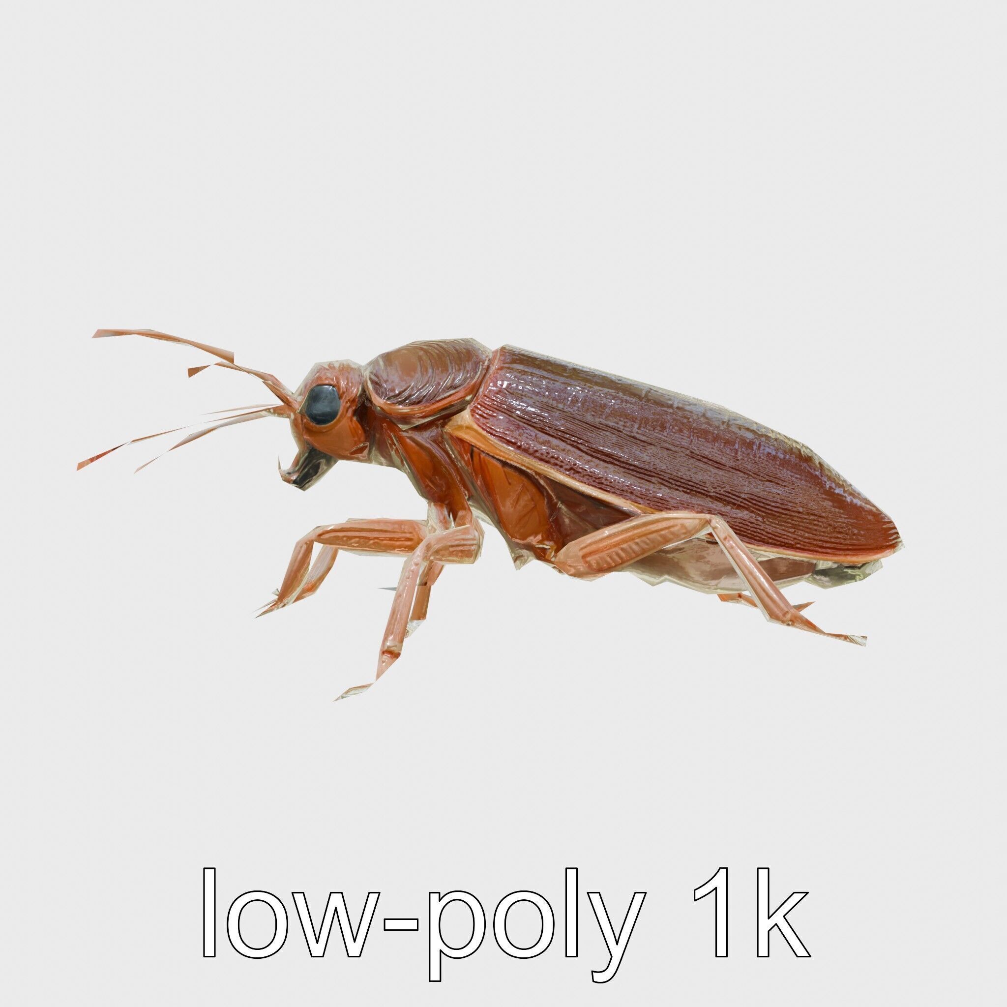 Bug Guardian Cockroach Sculpture model pack Low-poly 3D model_20