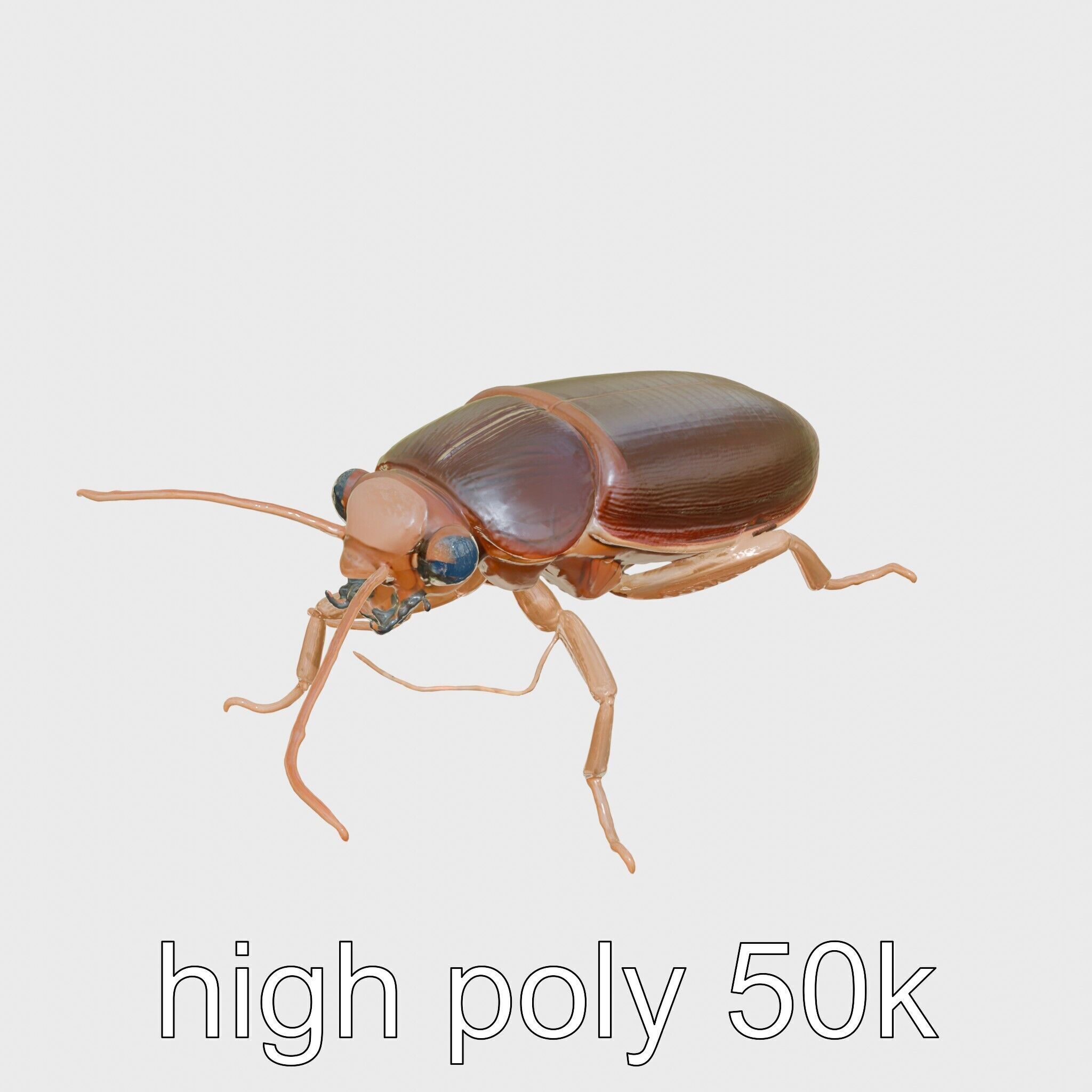 Bug Guardian Cockroach Sculpture model pack Low-poly 3D model_11