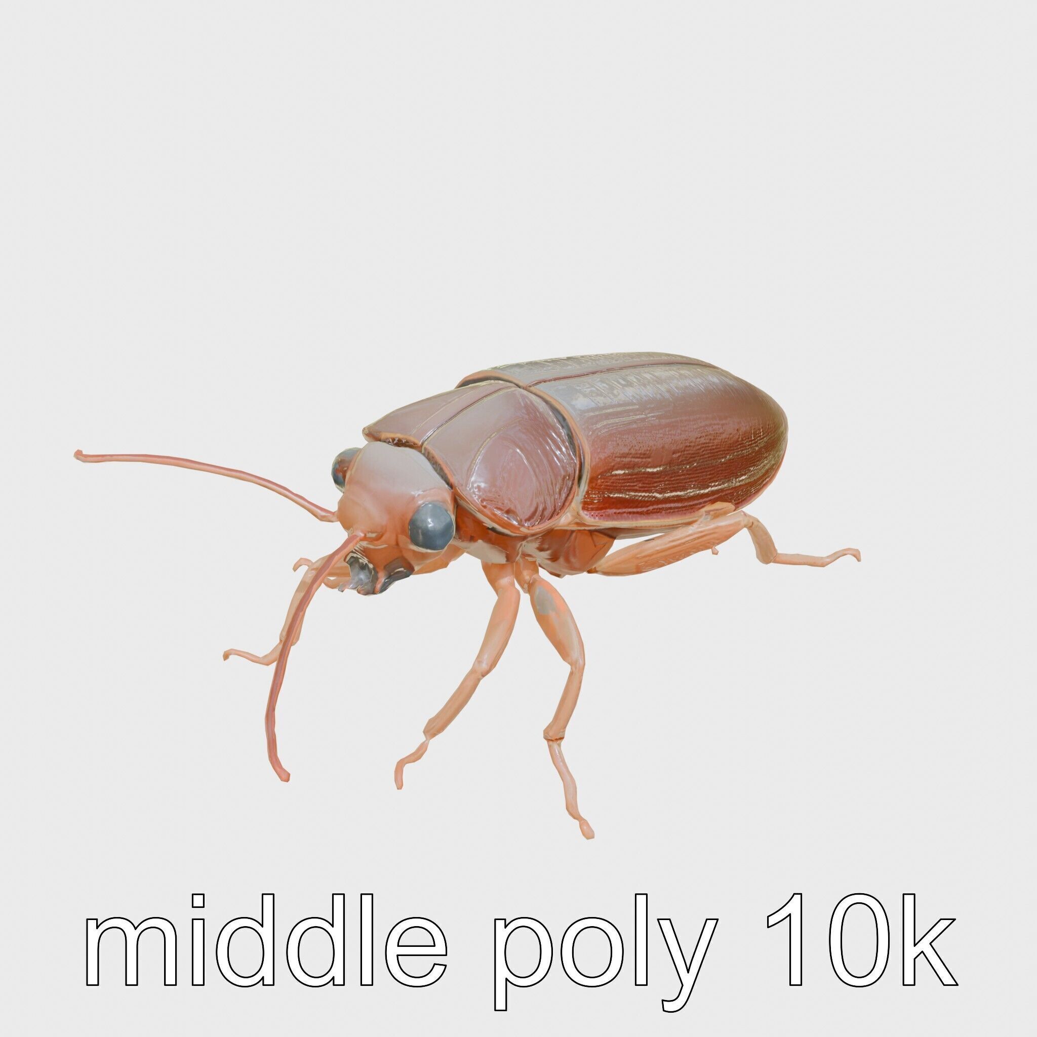 Bug Guardian Cockroach Sculpture model pack Low-poly 3D model_12