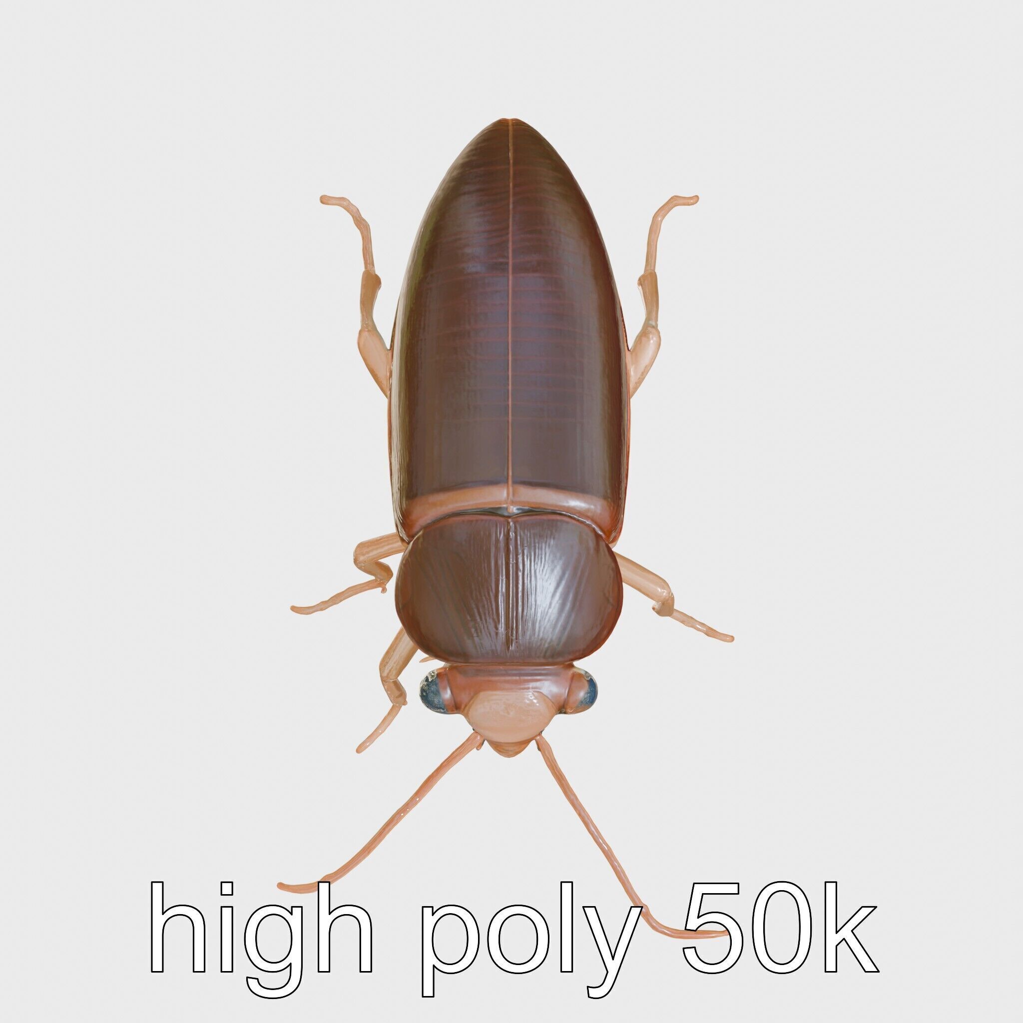 Bug Guardian Cockroach Sculpture model pack Low-poly 3D model_21