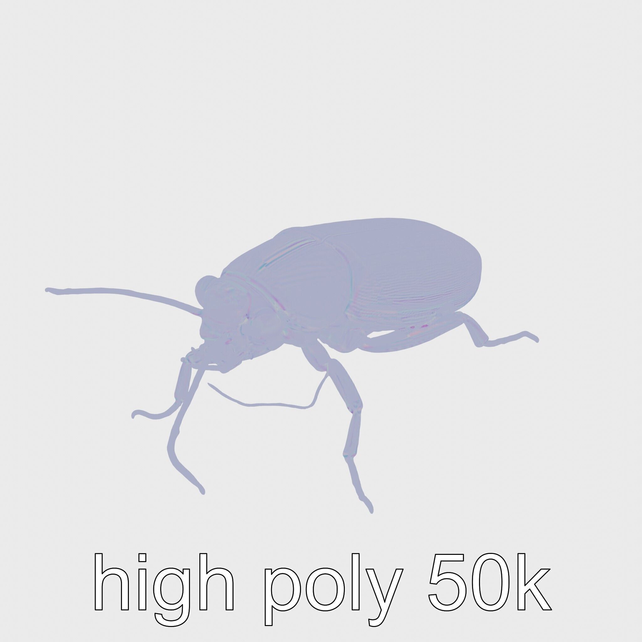 Bug Guardian Cockroach Sculpture model pack Low-poly 3D model_15