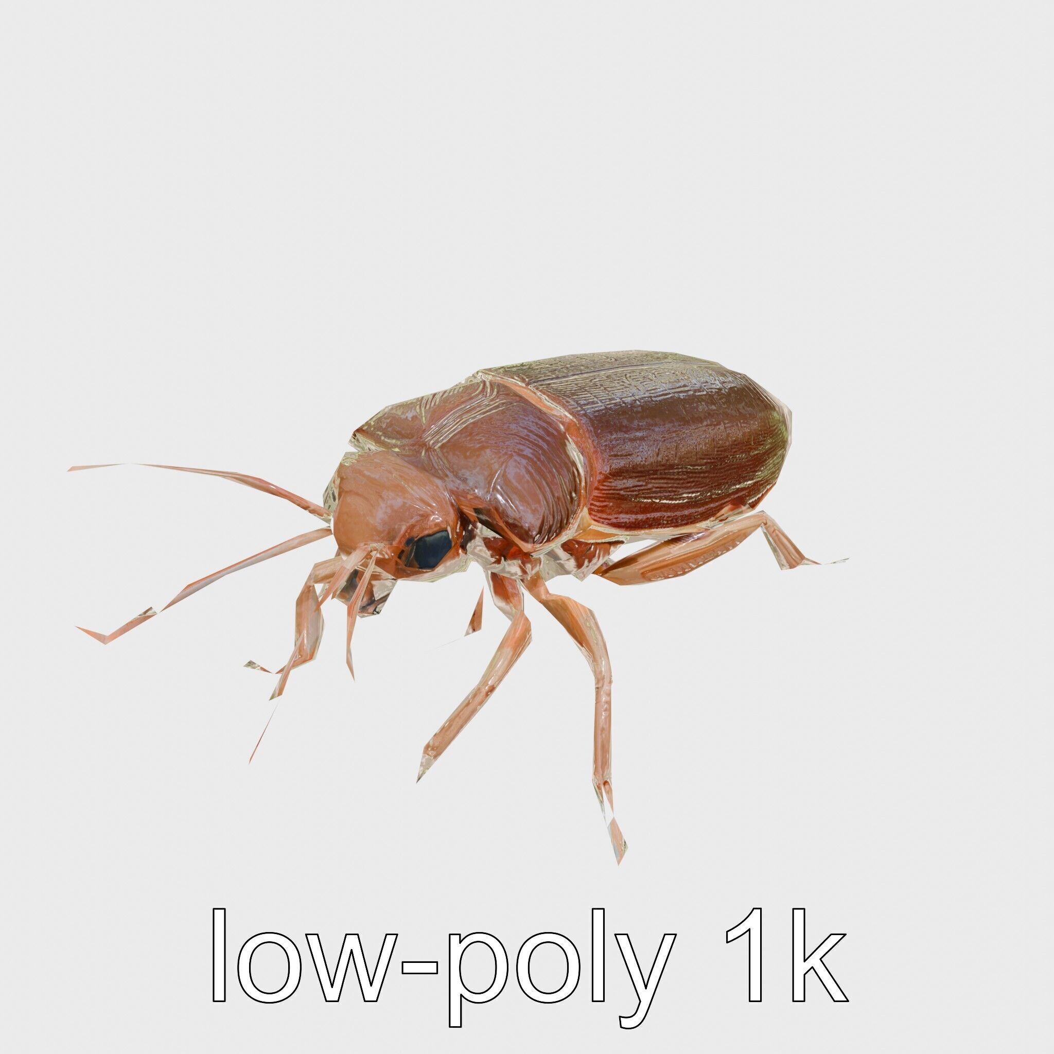 Bug Guardian Cockroach Sculpture model pack Low-poly 3D model_13