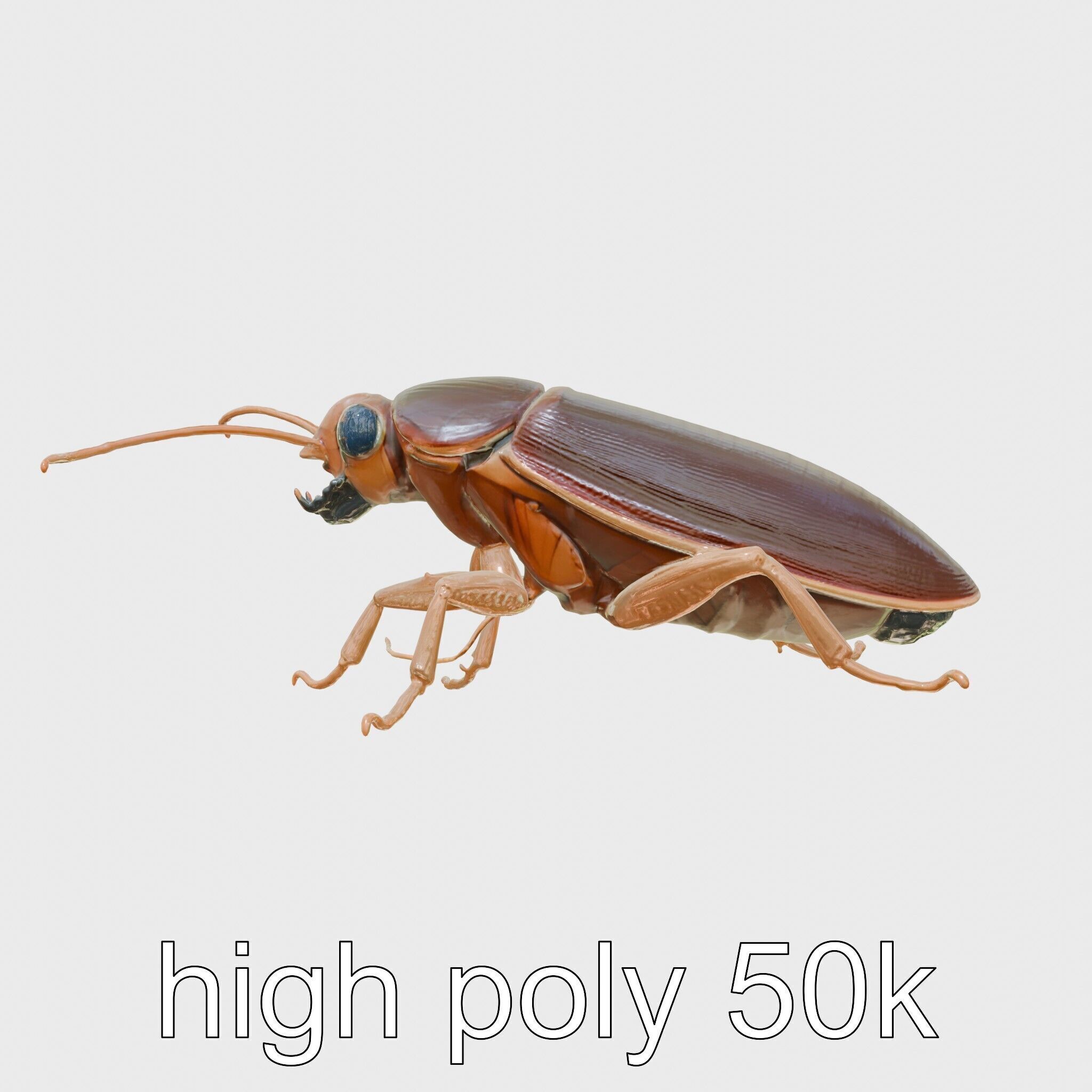 Bug Guardian Cockroach Sculpture model pack Low-poly 3D model_14