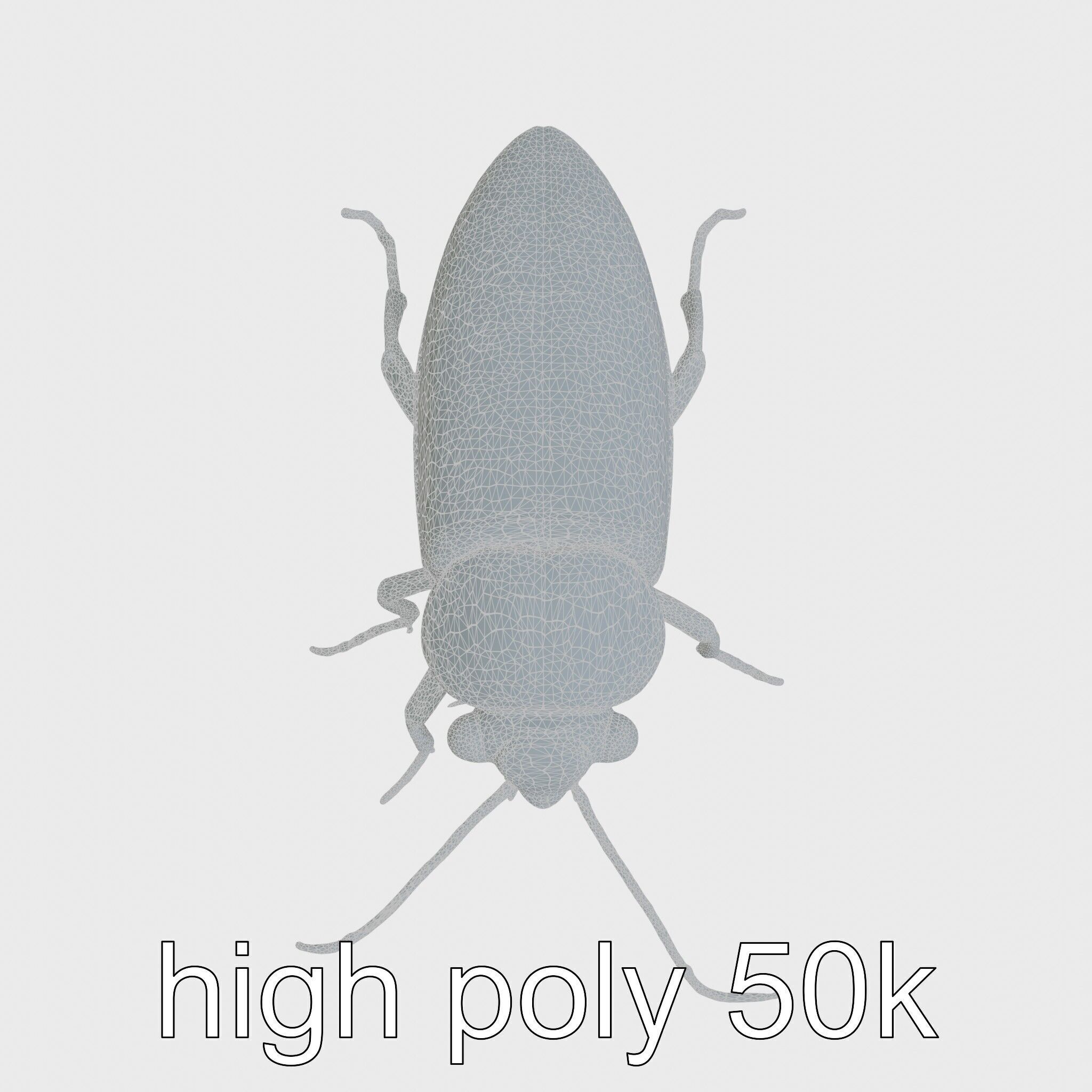 Bug Guardian Cockroach Sculpture model pack Low-poly 3D model_25