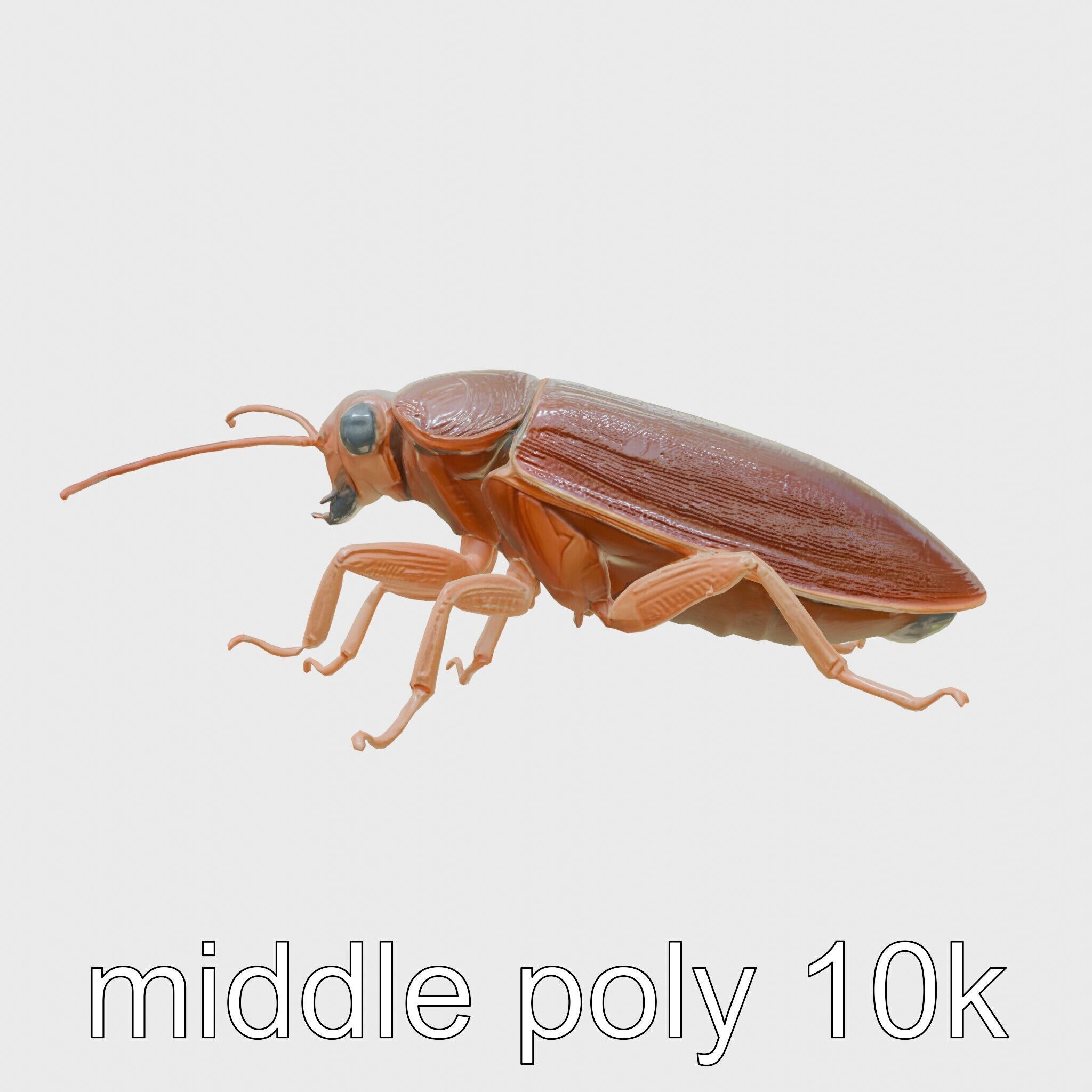 Bug Guardian Cockroach Sculpture model pack Low-poly 3D model_24