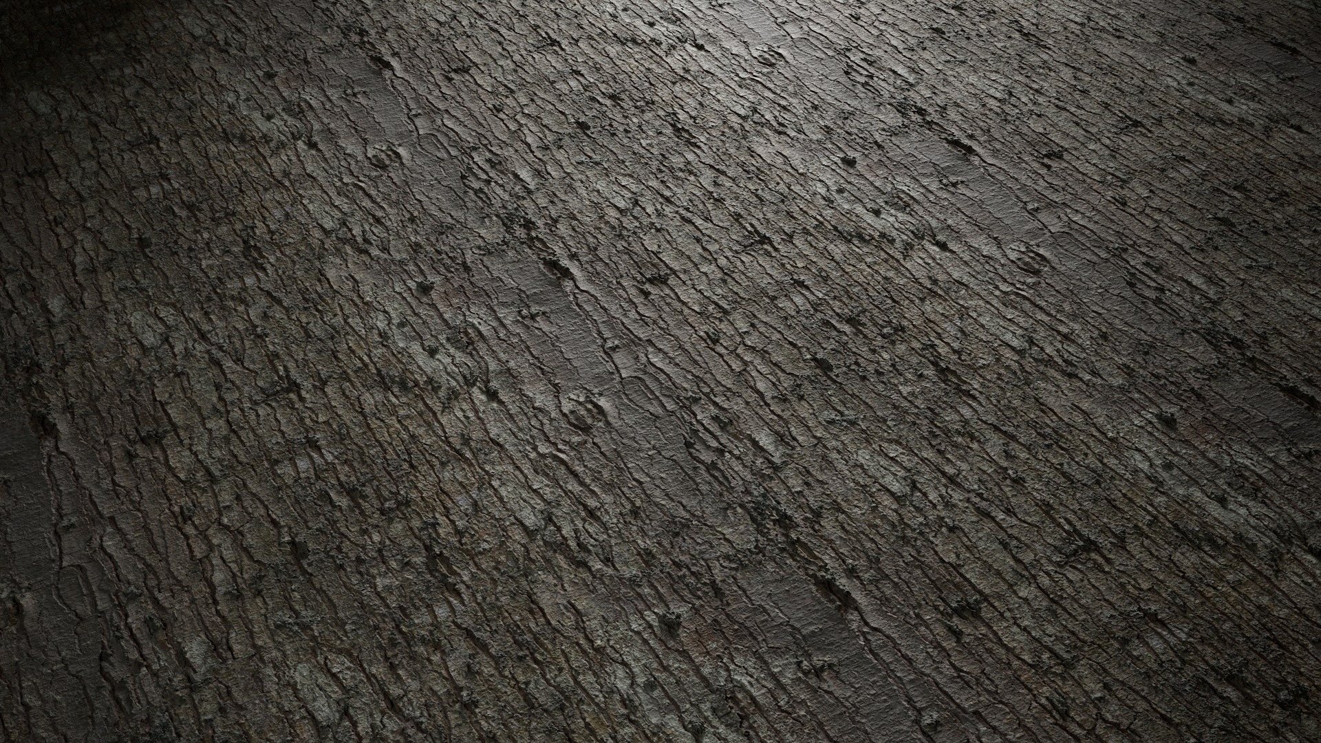 Anydrafts Abies Bark 15 Texture_4