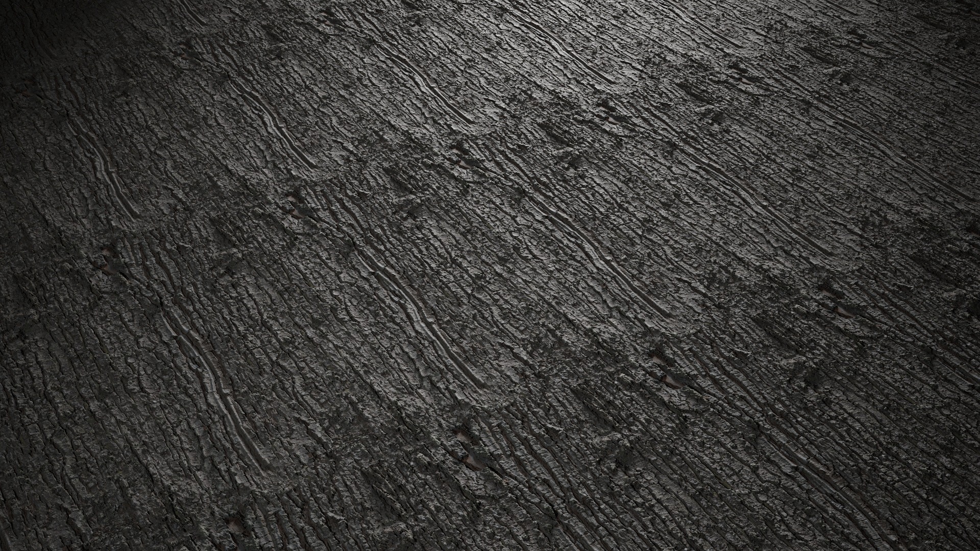 Anydrafts Abies Bark 21 Texture_4