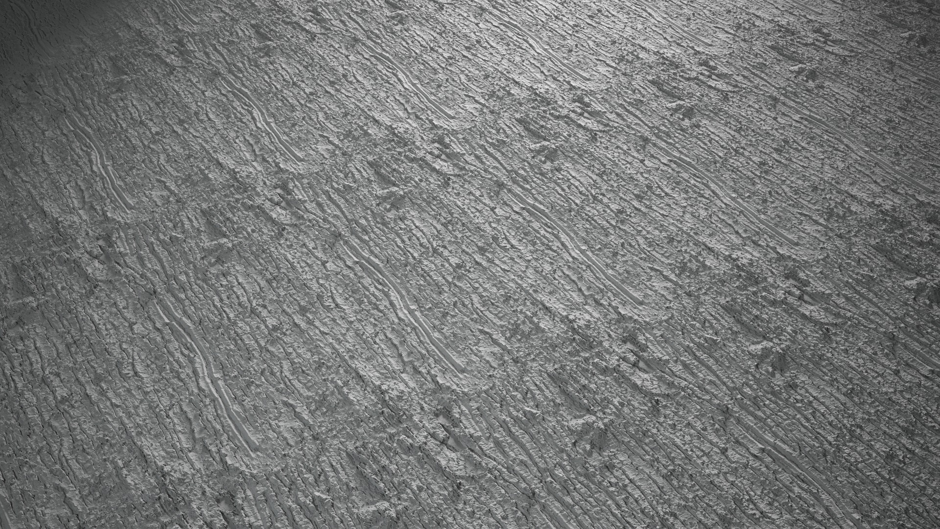 Anydrafts Abies Bark 21 Texture_5