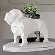Bulldog low poly planter STL