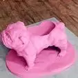 Bulldog planter succulent plot flower vase STL 3D print model_0