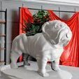 Bulldog planter succulent plot flower vase STL 3D print model_2