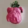 Bulldog head planter wall mount succulent pot flower vase STL