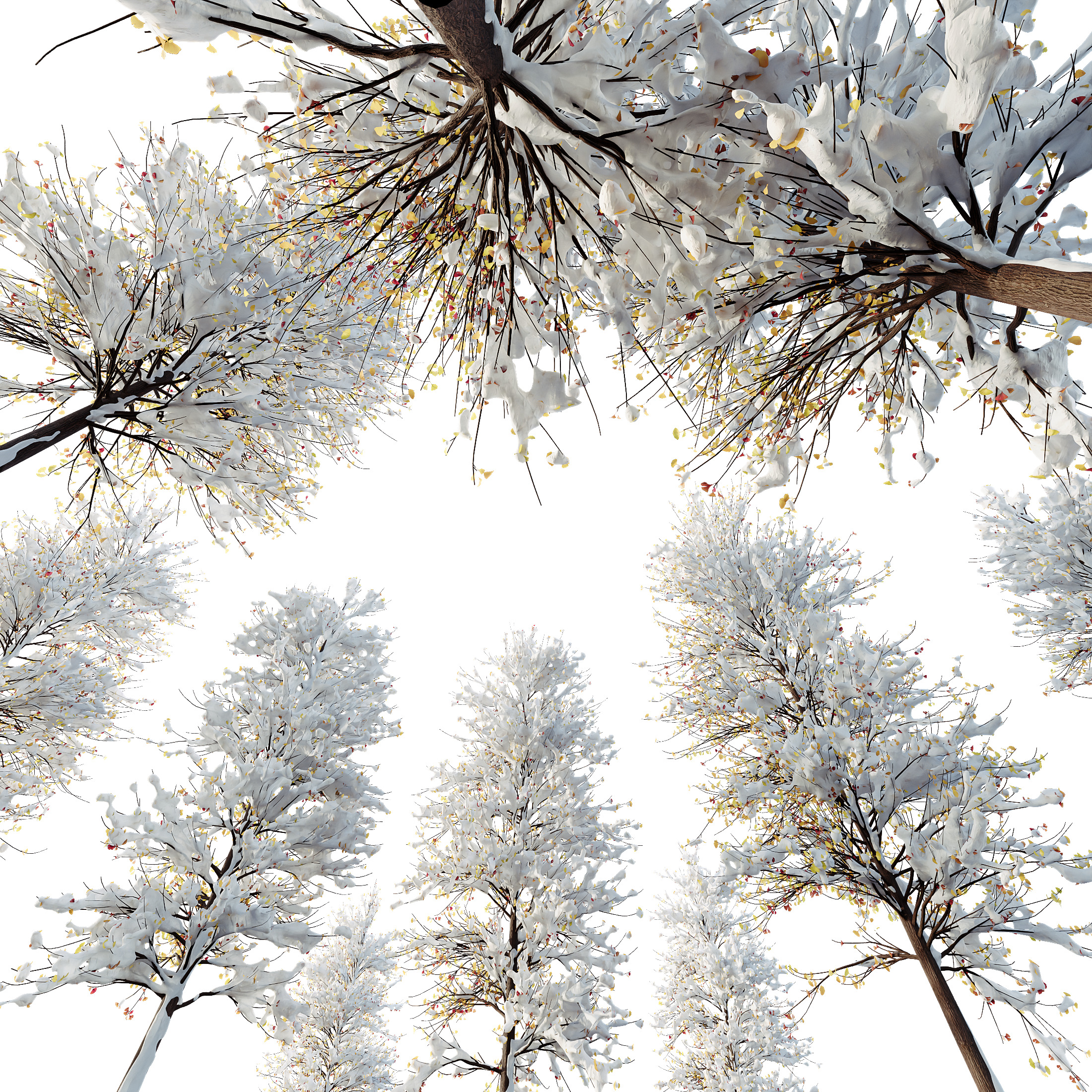 AV Plants Maidenhair Tree Ginkgo Biloba Winter Snow 3D model_2