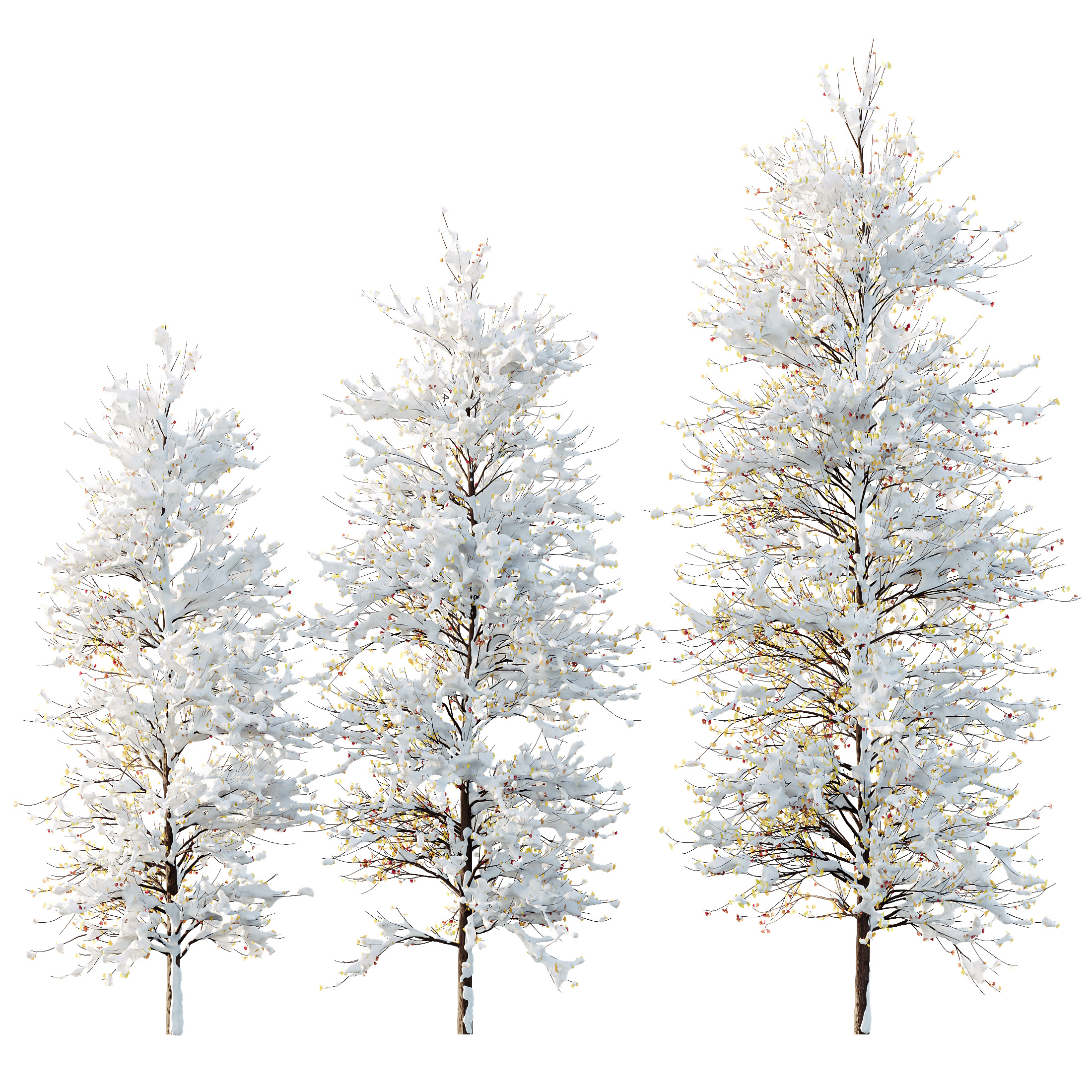 AV Plants Maidenhair Tree Ginkgo Biloba Winter Snow 3D model_4