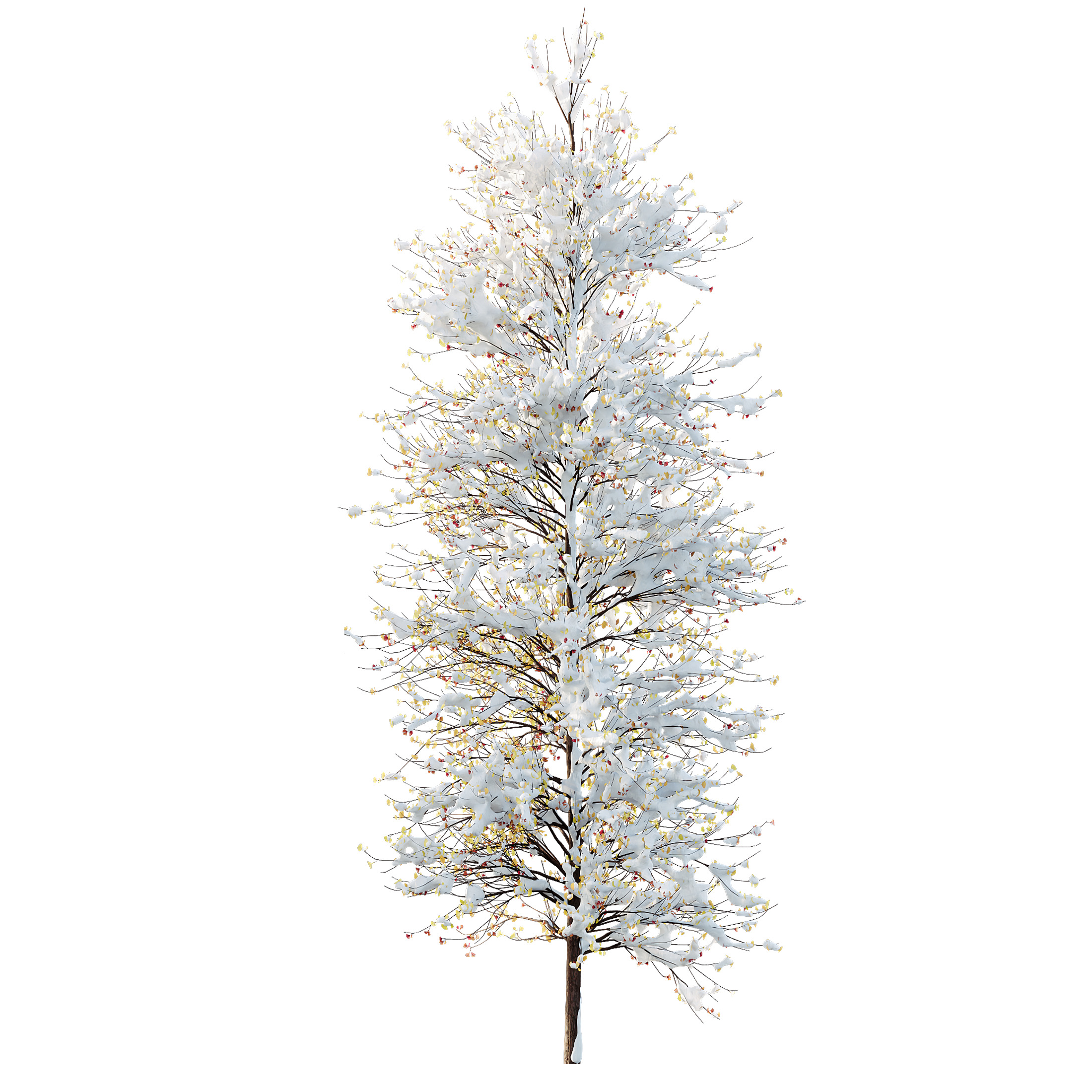 AV Plants Maidenhair Tree Ginkgo Biloba Winter Snow 3D model_3