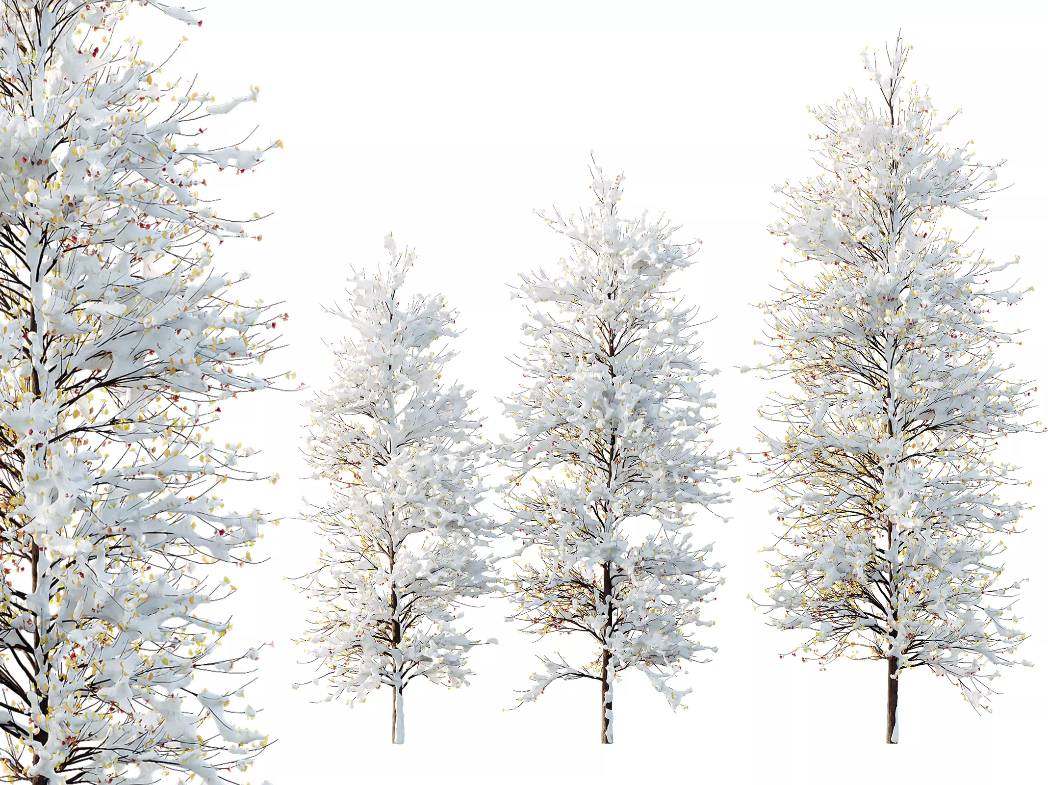 AV Plants Maidenhair Tree Ginkgo Biloba Winter Snow 3D model_0