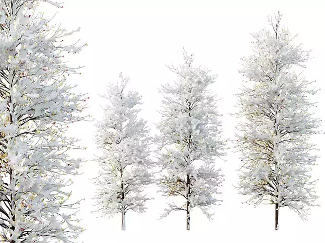 AV Plants Maidenhair Tree Ginkgo Biloba Winter Snow 3D model AV Plants Maidenhair Tree Ginkgo Biloba Winter Snow 3D model