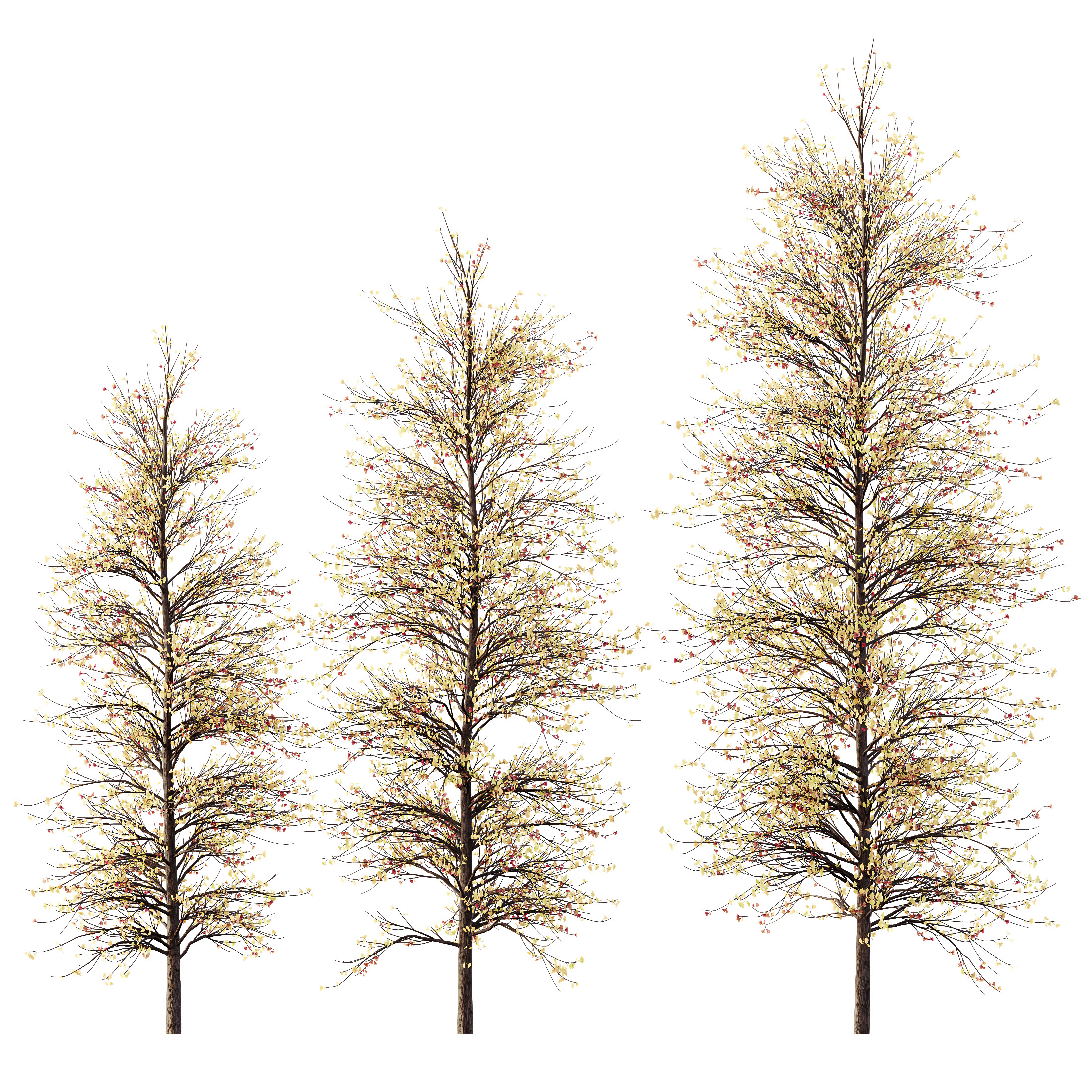AV Plants Maidenhair Tree Ginkgo Biloba Winter Snow 3D model_1