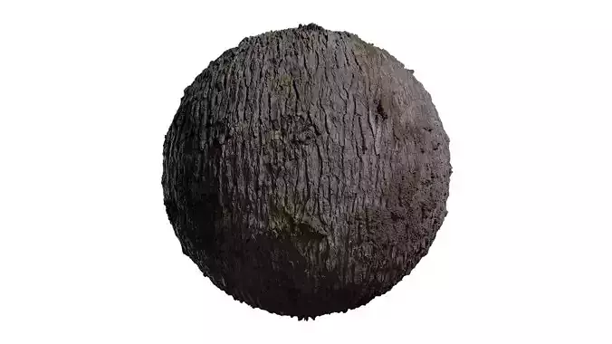 Anydrafts Abies Bark 25