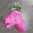 Bone head Pachycephalosaurus dinosaur wall mount flower vase STL 3D print model_1