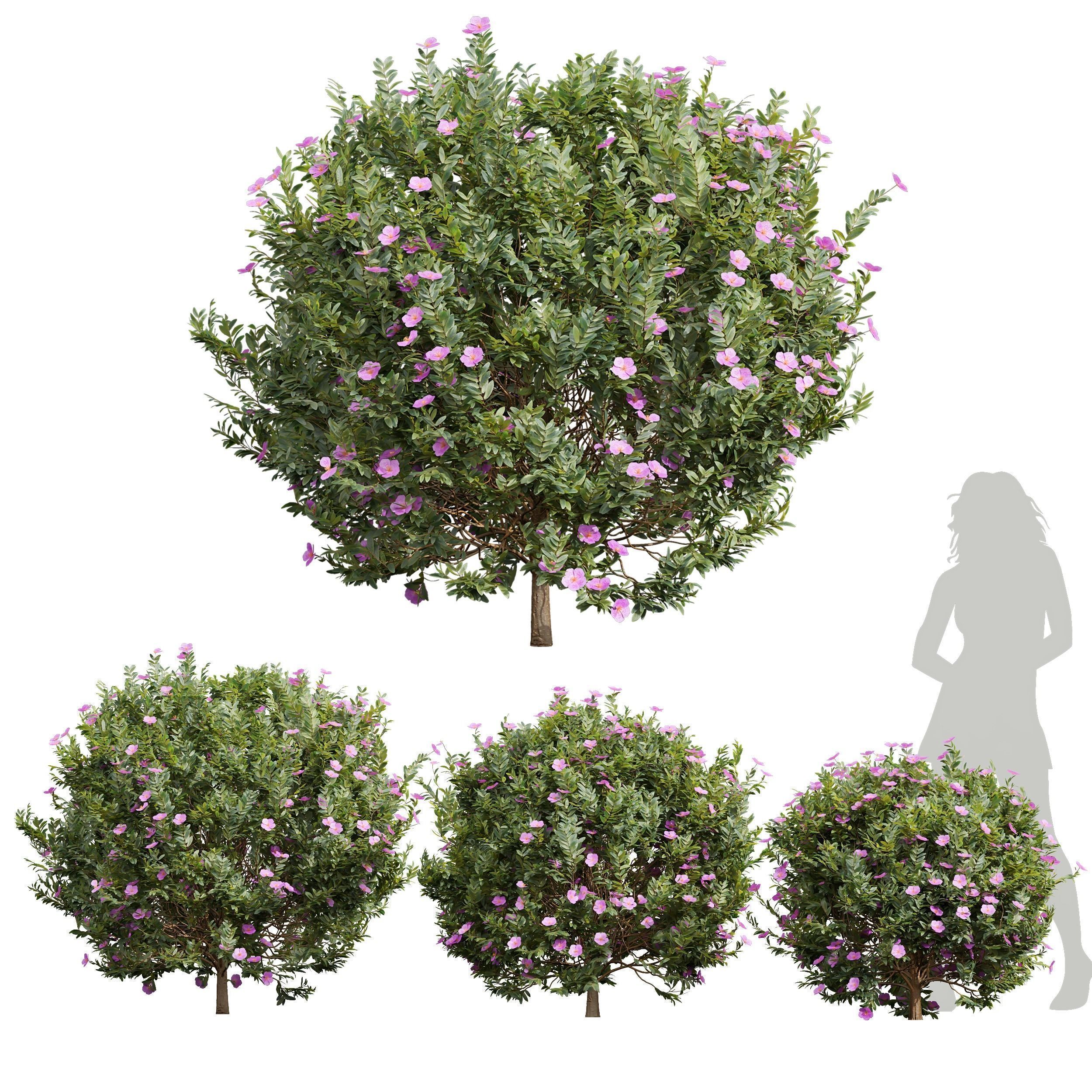 AV 6 spring bush sets including 18 different bushes 3D Model Collection_6