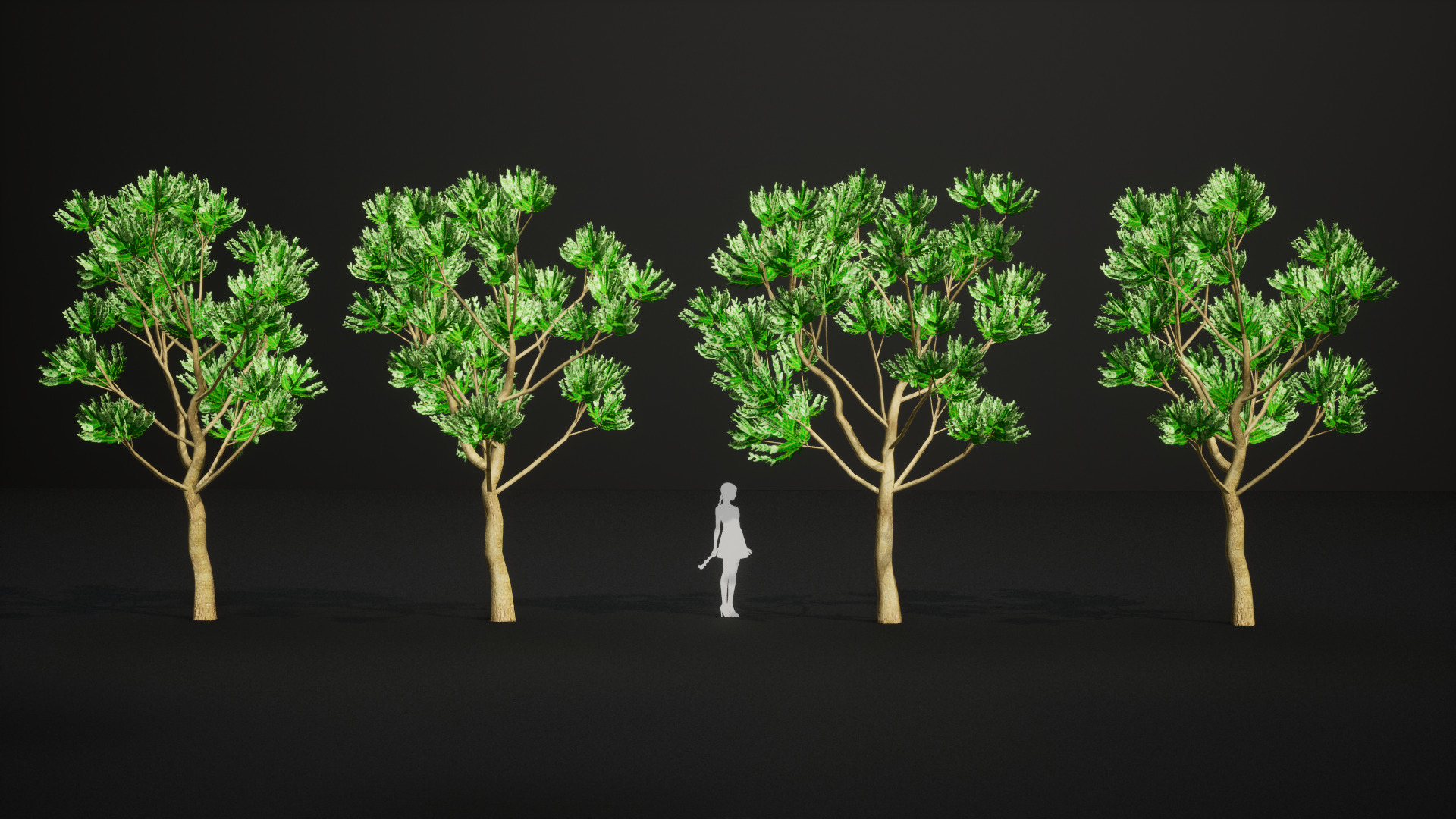 Vulnerable Plant - 6 Agathis ovata Conifer Tree Low-poly 3D model_6