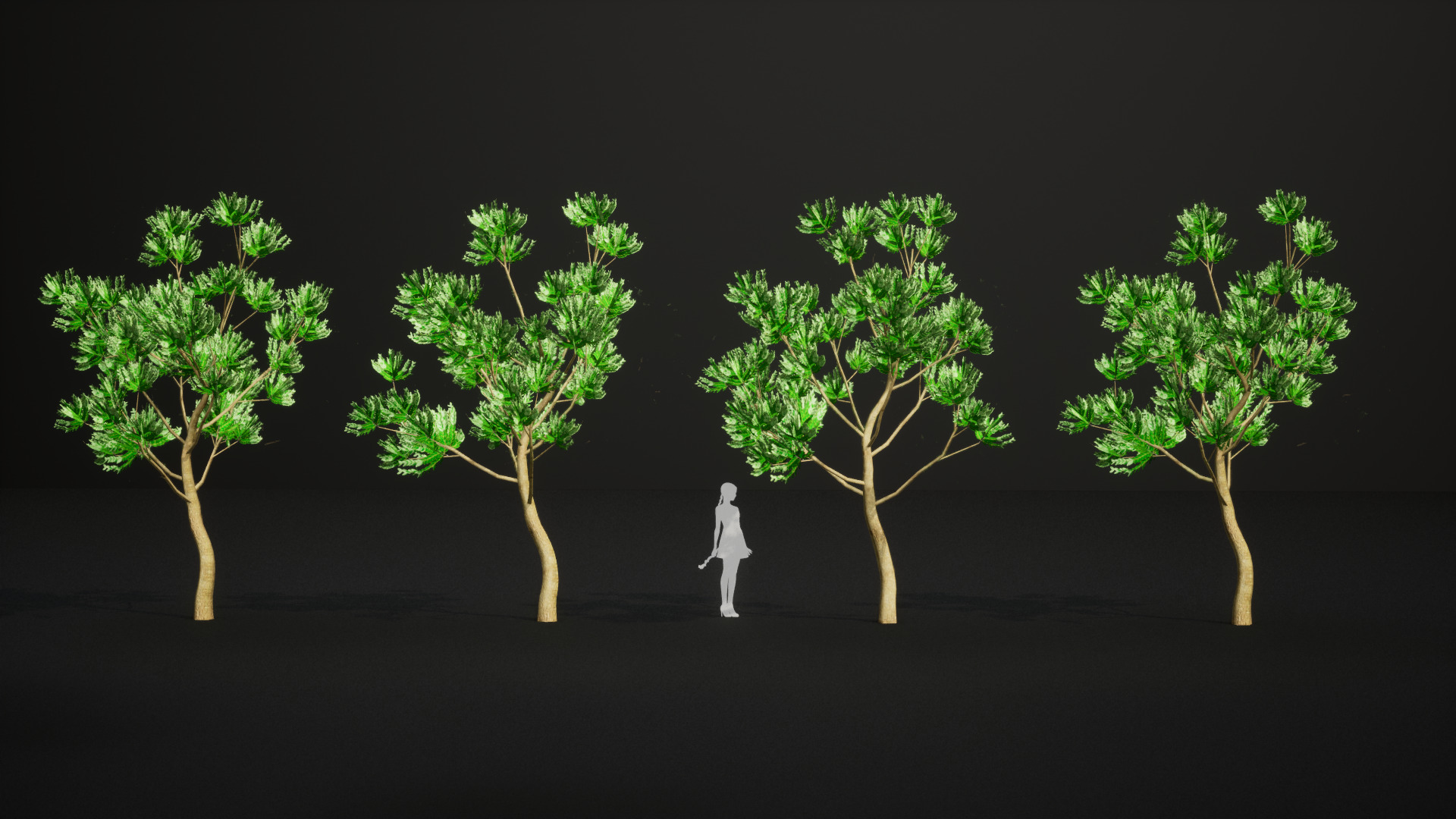 Vulnerable Plant - 6 Agathis ovata Conifer Tree Low-poly 3D model_5
