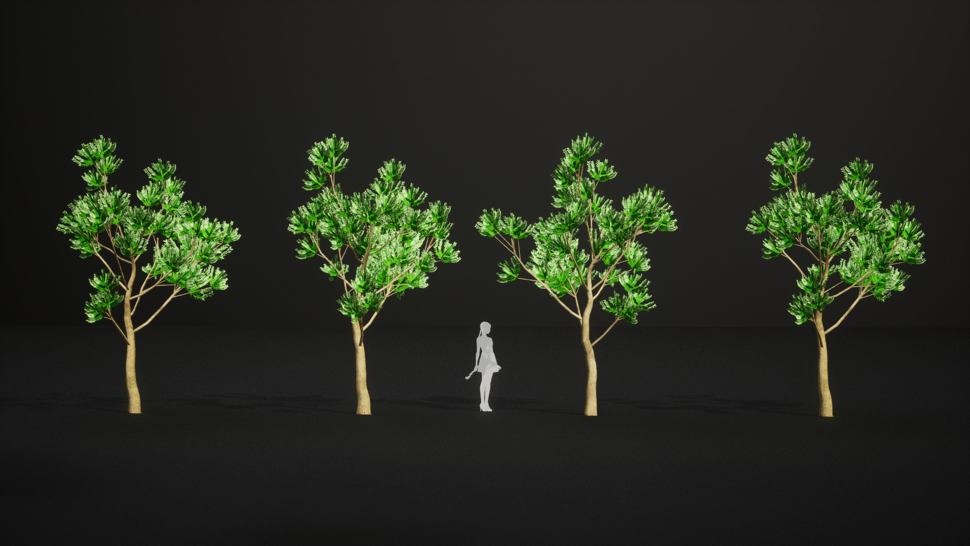 Vulnerable Plant - 6 Agathis ovata Conifer Tree Low-poly 3D model_4