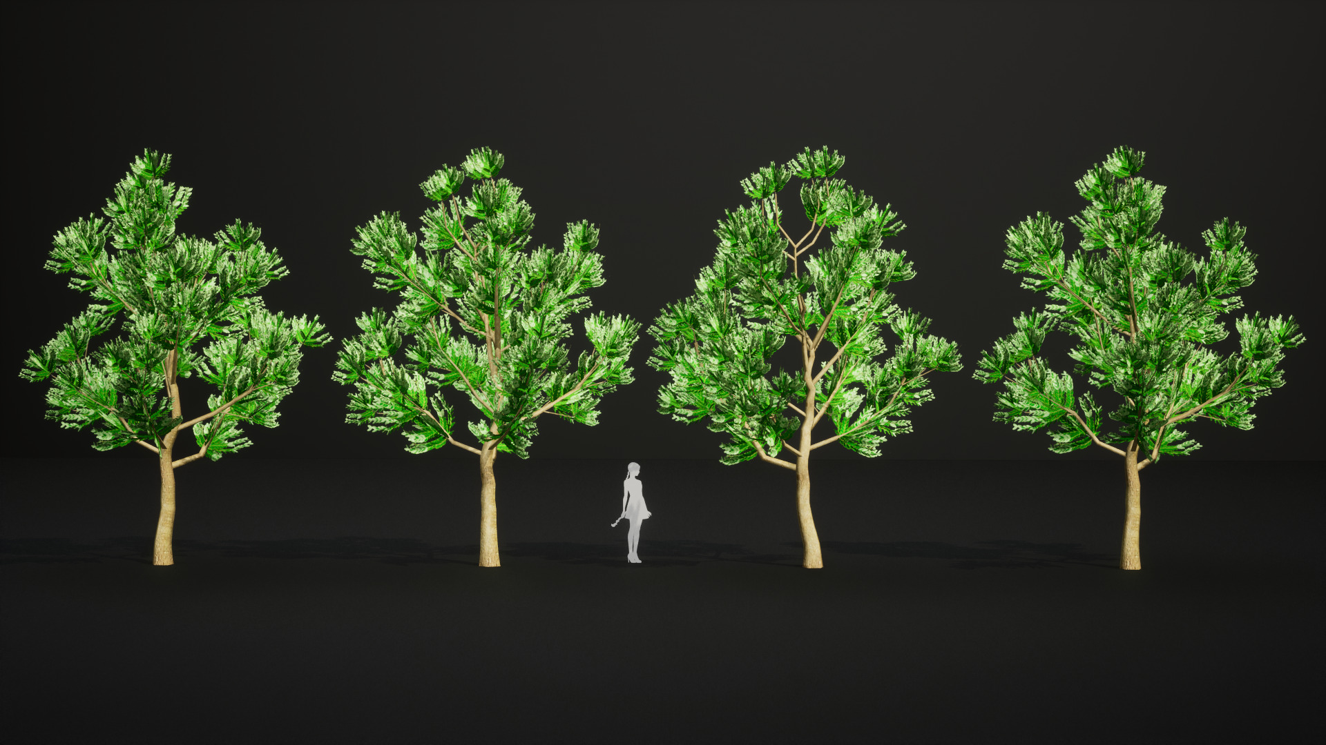 Vulnerable Plant - 6 Agathis ovata Conifer Tree Low-poly 3D model_9
