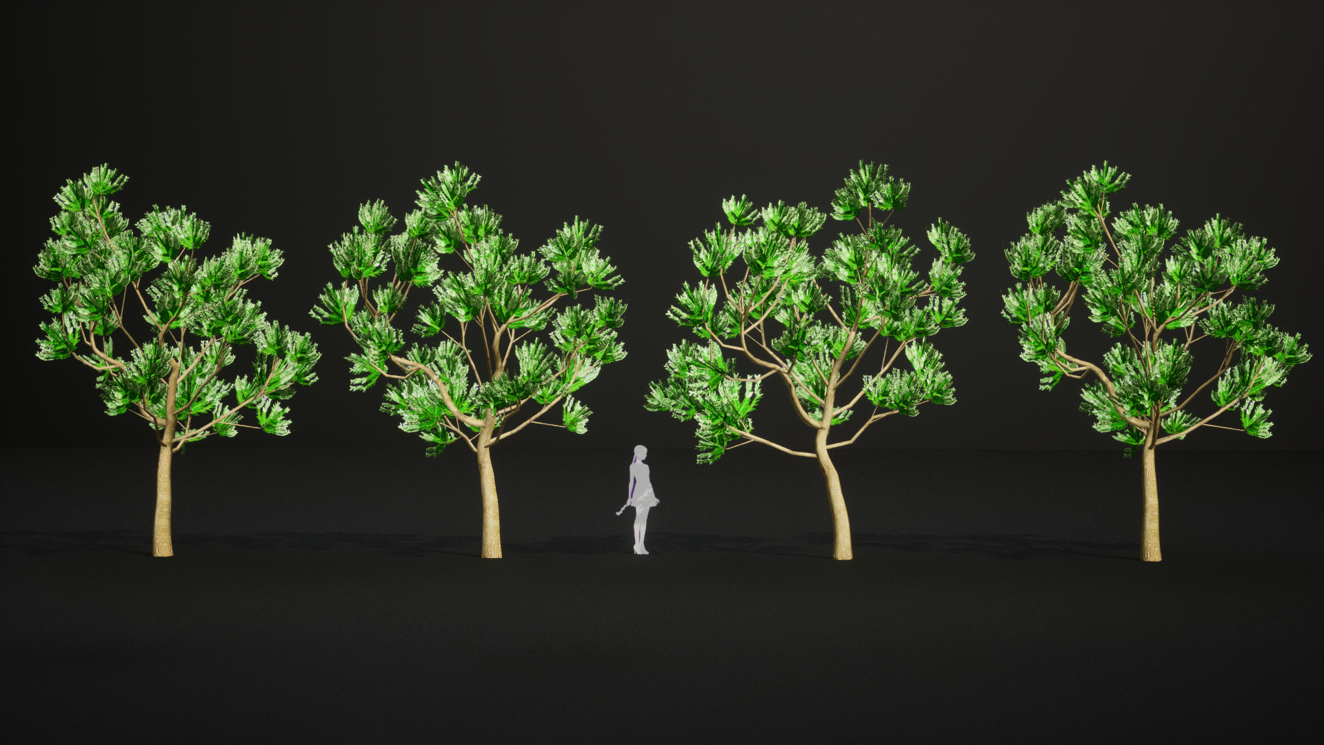 Vulnerable Plant - 6 Agathis ovata Conifer Tree Low-poly 3D model_7