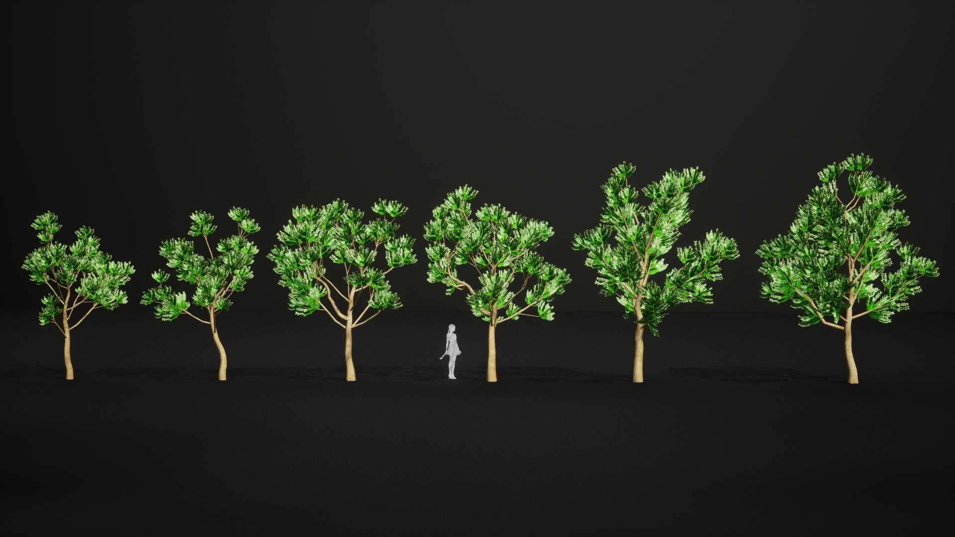 Vulnerable Plant - 6 Agathis ovata Conifer Tree Low-poly 3D model_3