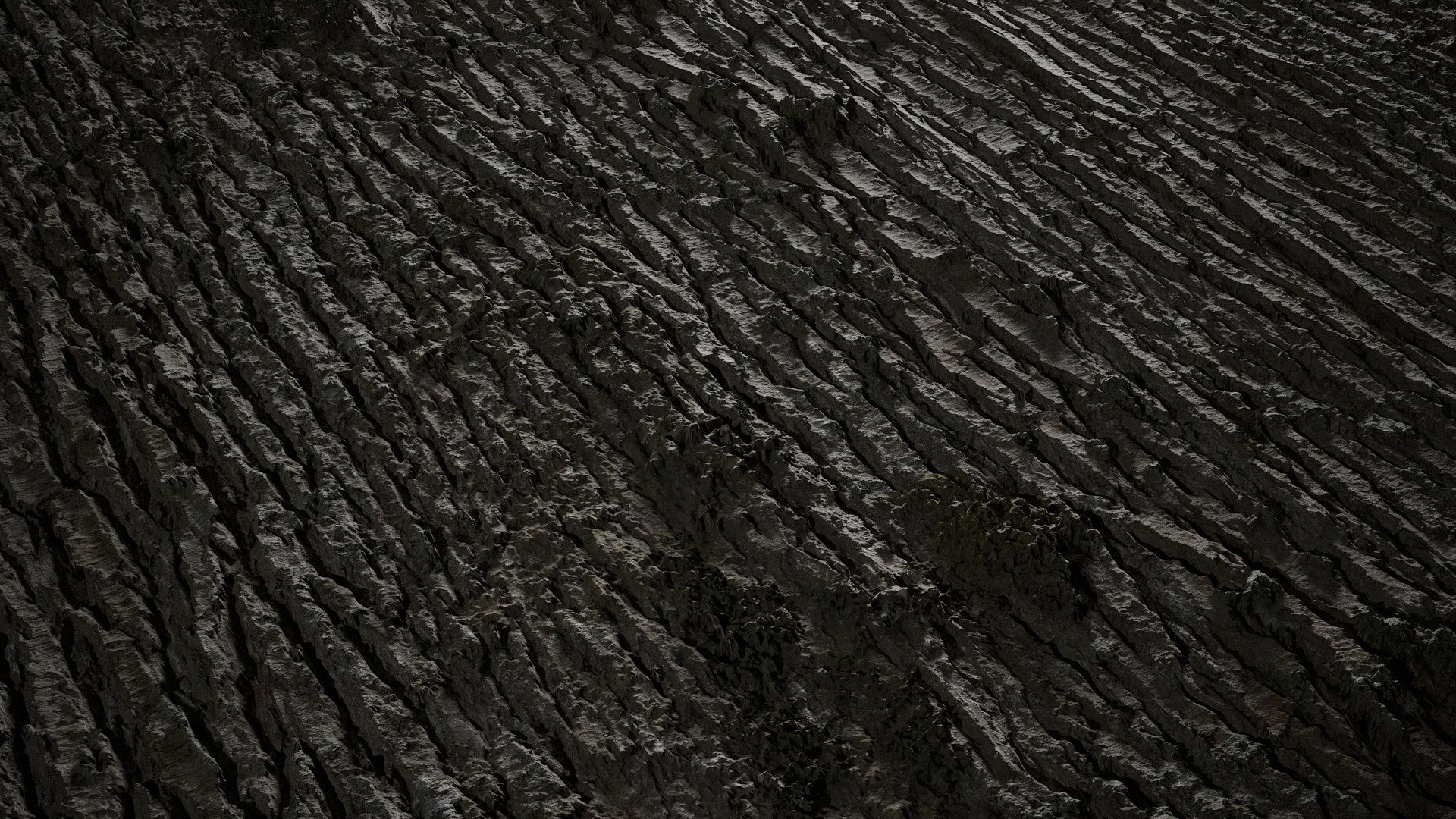 Anydrafts Abies Bark 33 Texture_2