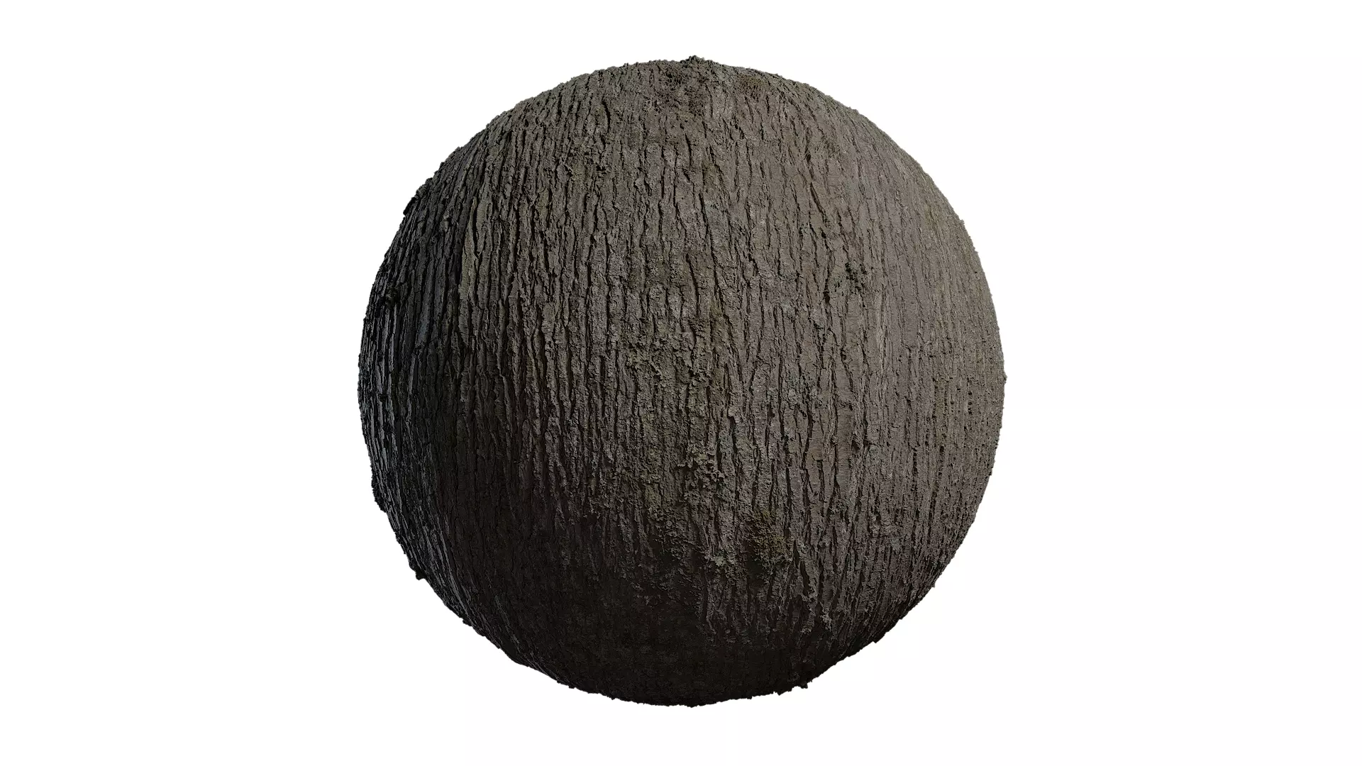 Anydrafts Abies Bark 33 Texture_0