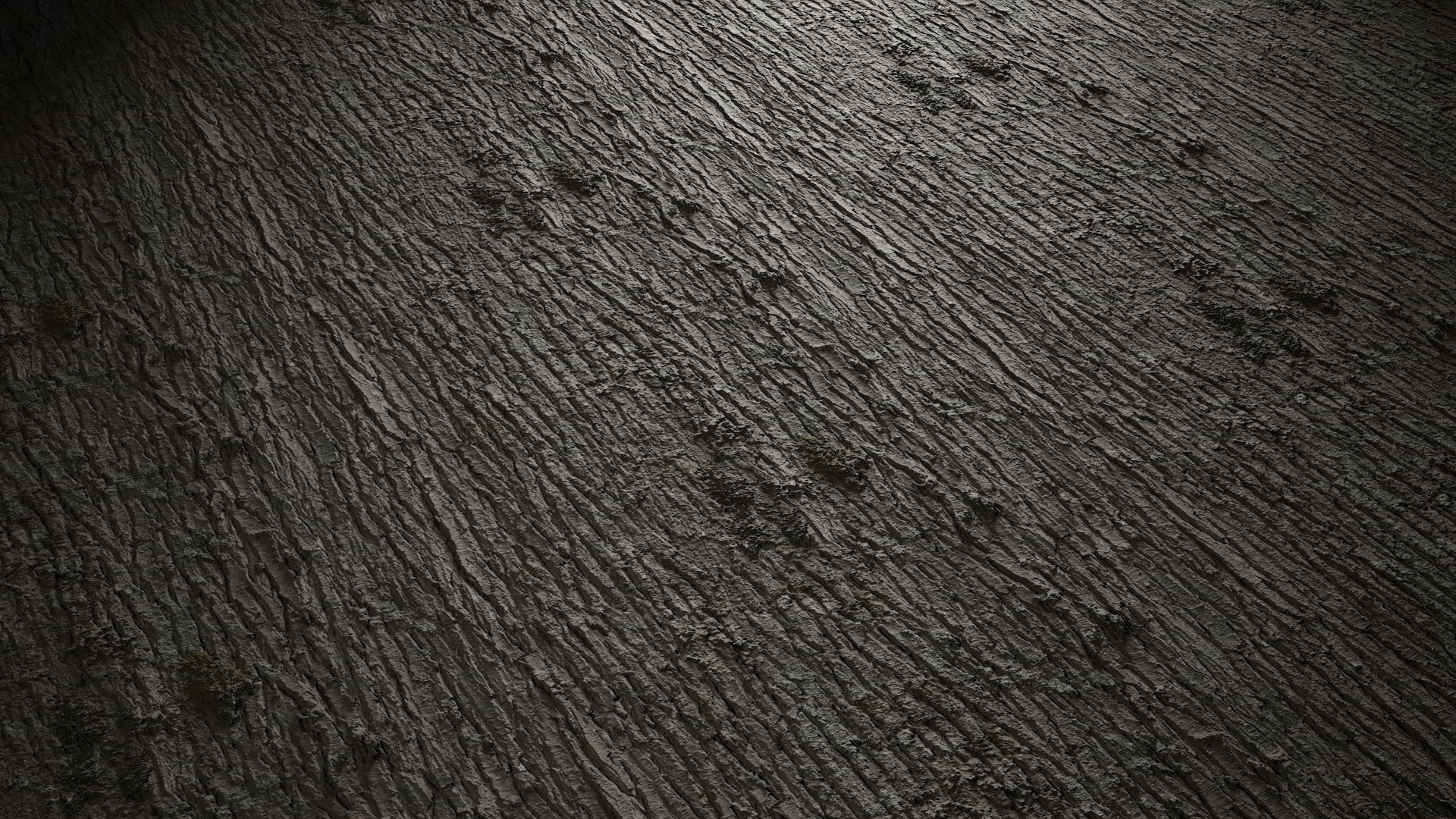 Anydrafts Abies Bark 33 Texture_4