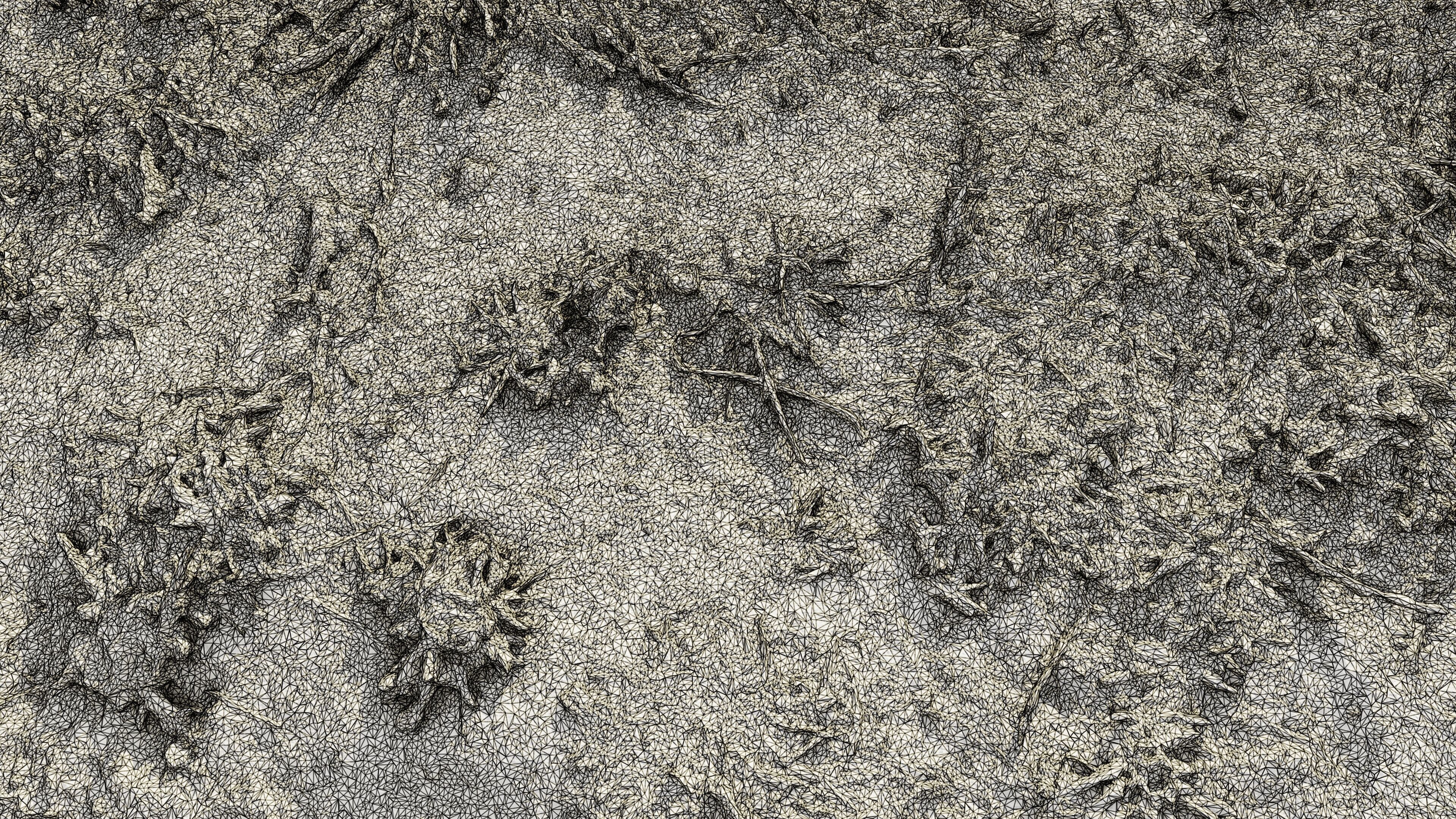 autumngrassgroundscan06102024 3D model_10