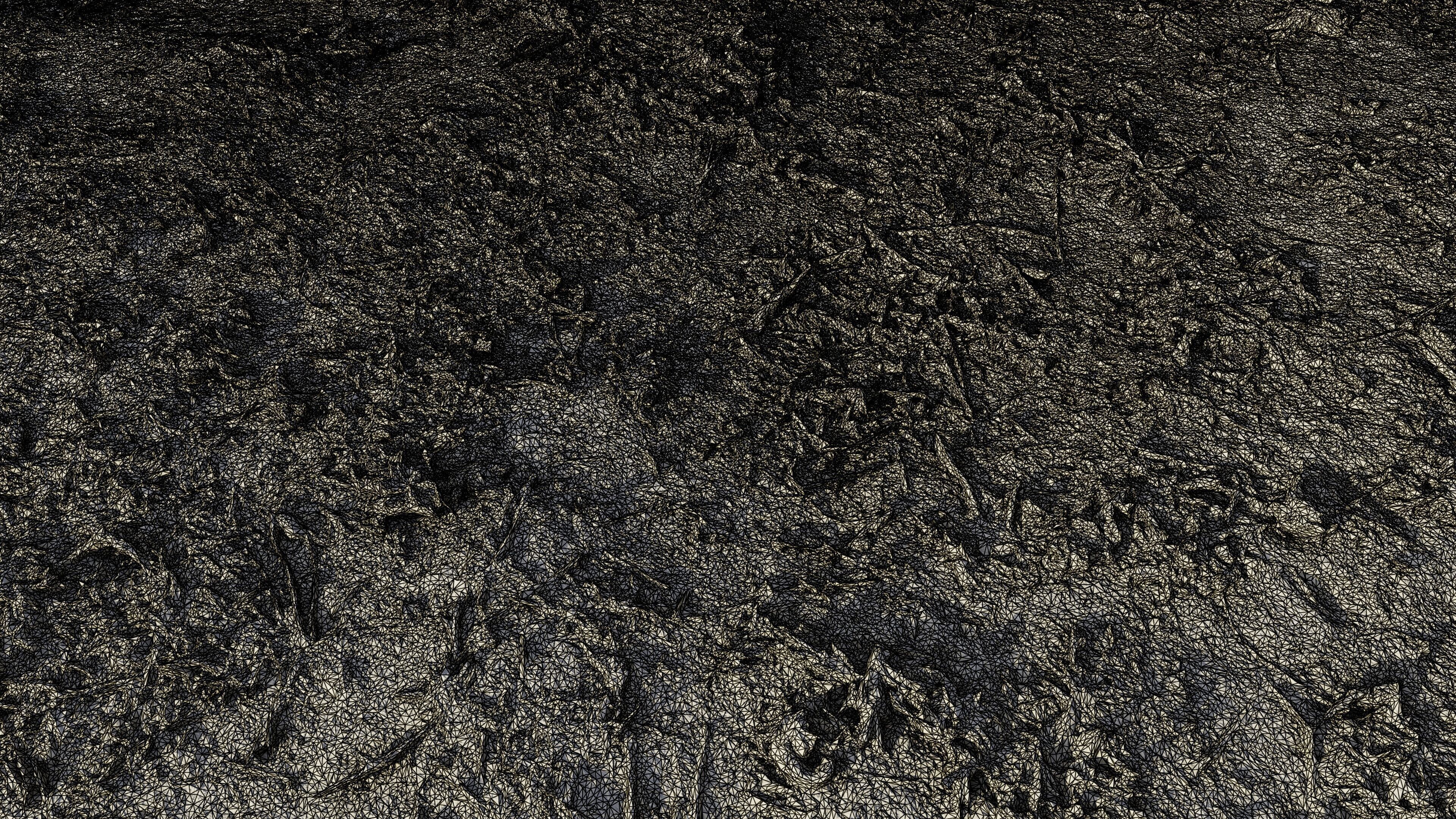 autumngrassgroundscan06102024 3D model_14