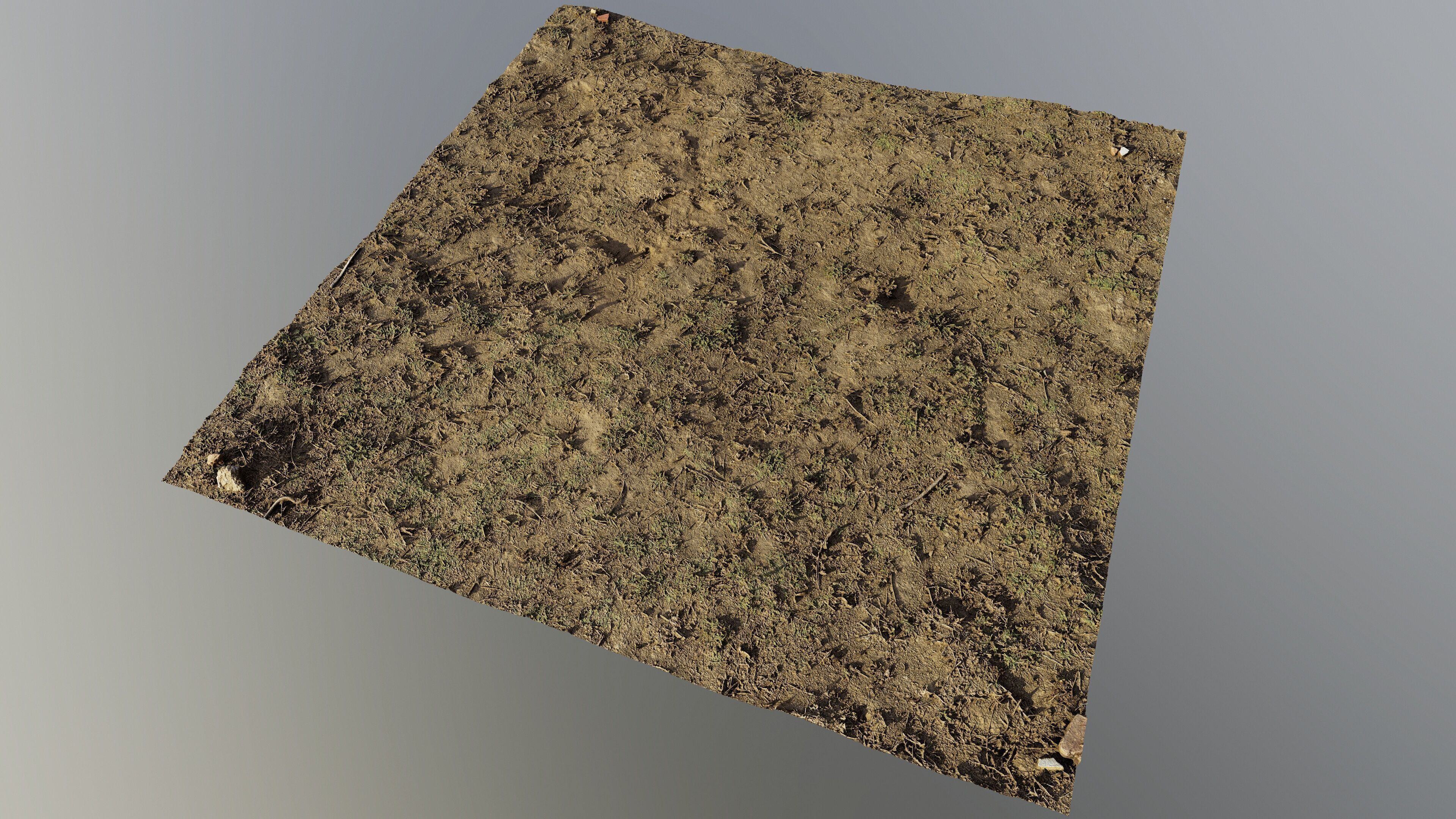 autumngrassgroundscan06102024 3D model_5