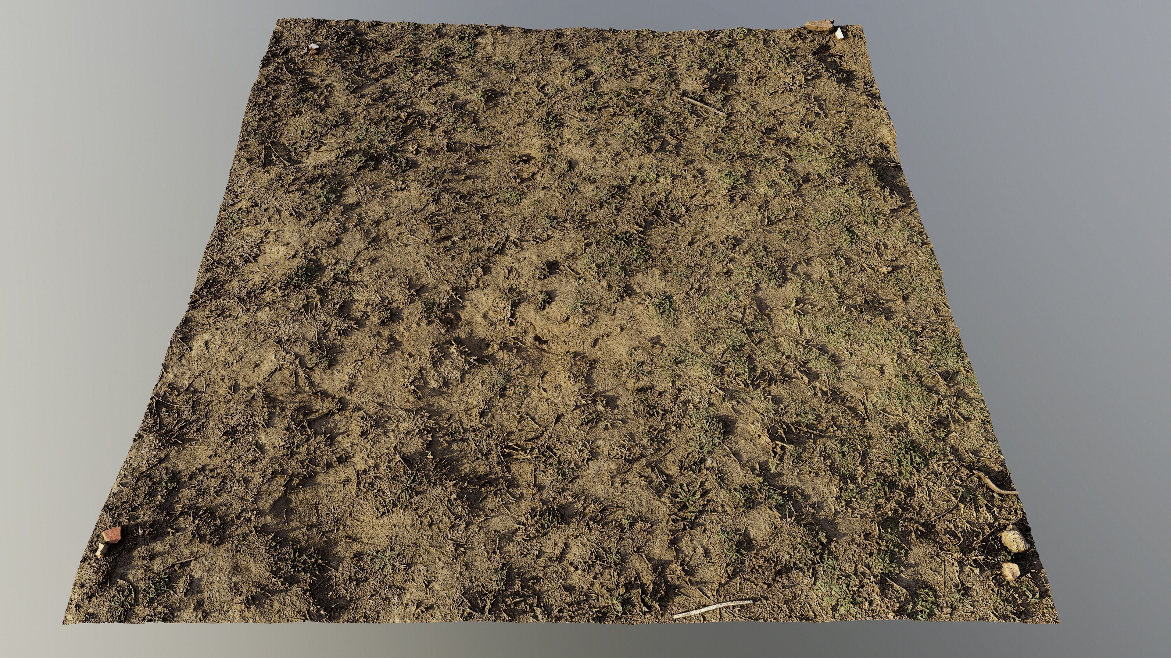 autumngrassgroundscan06102024 3D model_2