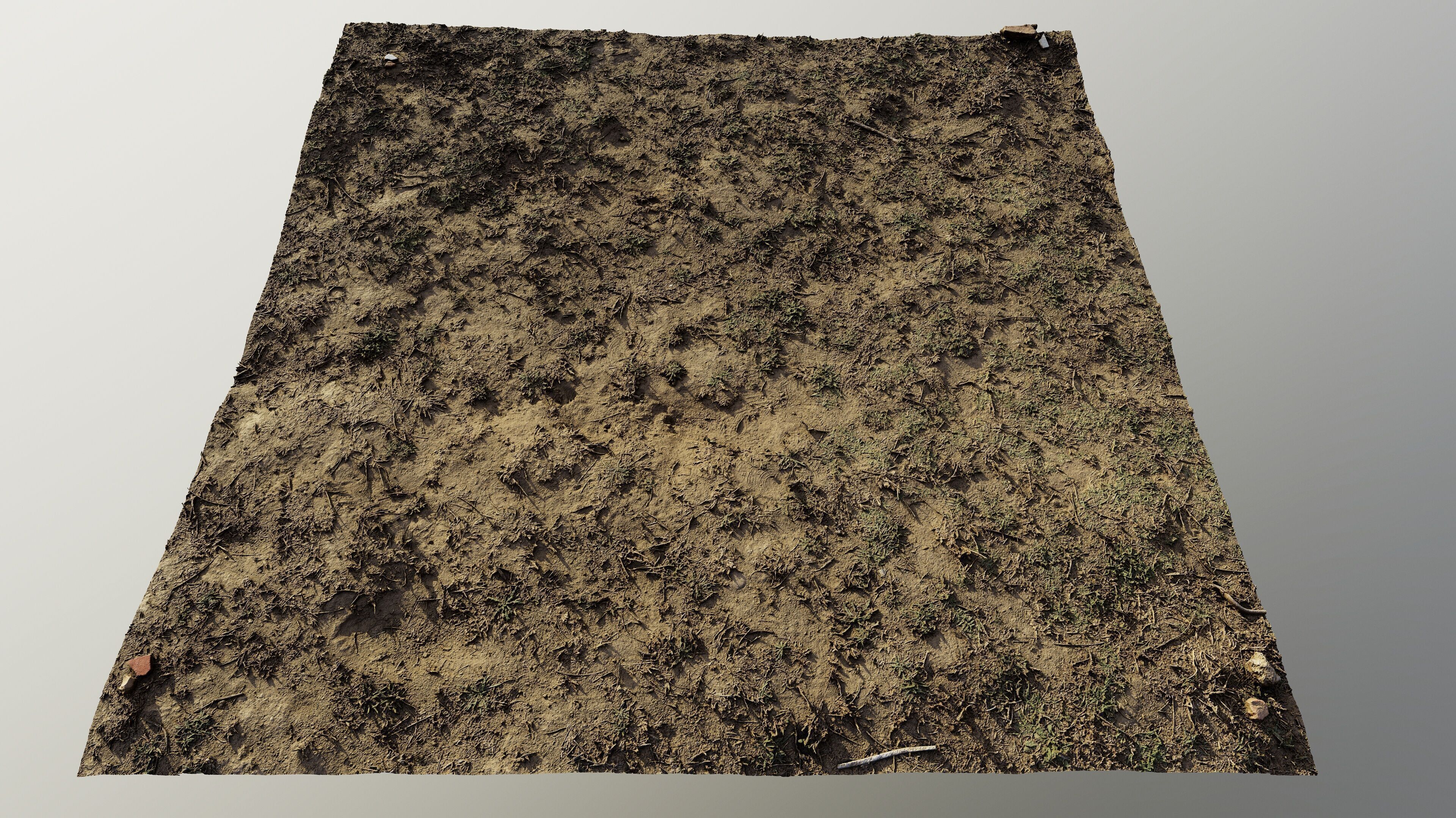 autumngrassgroundscan06102024 3D model_1