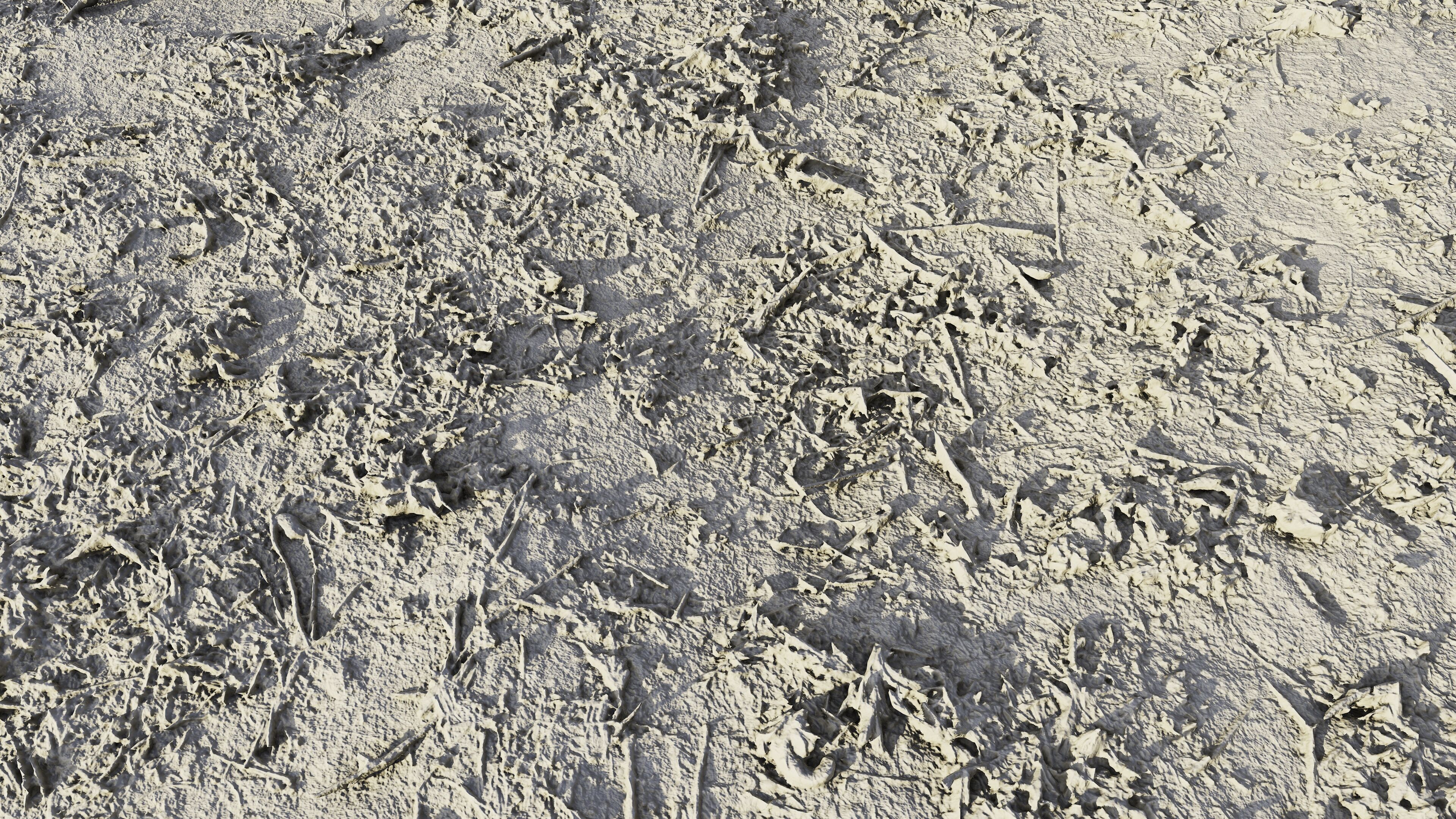 autumngrassgroundscan06102024 3D model_13