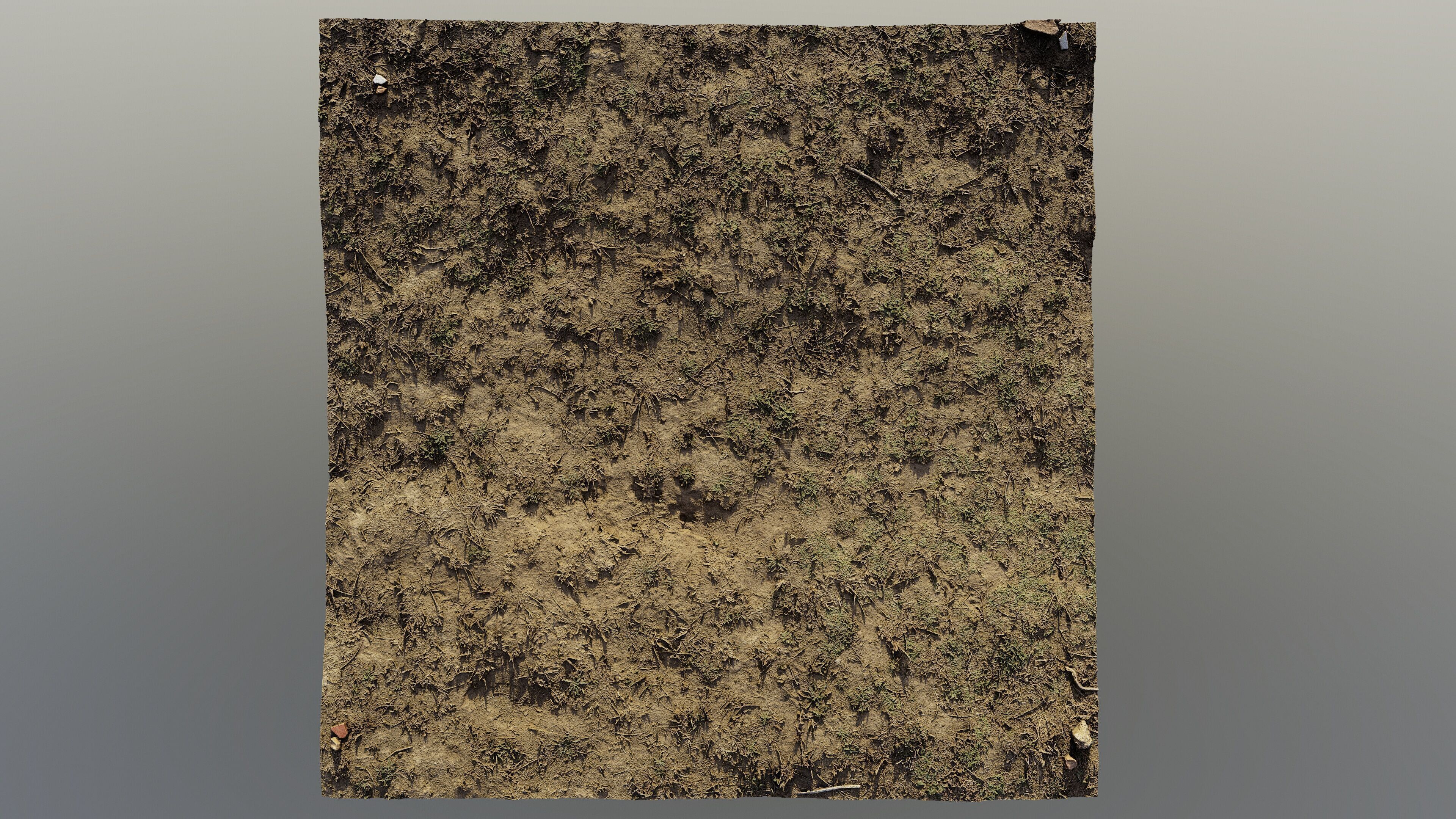 autumngrassgroundscan06102024 3D model_3