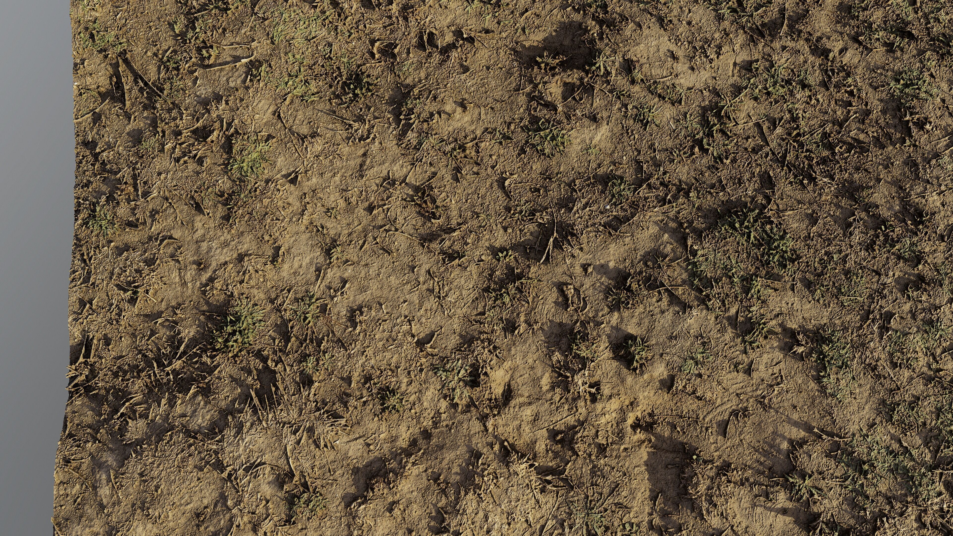 autumngrassgroundscan06102024 3D model_8