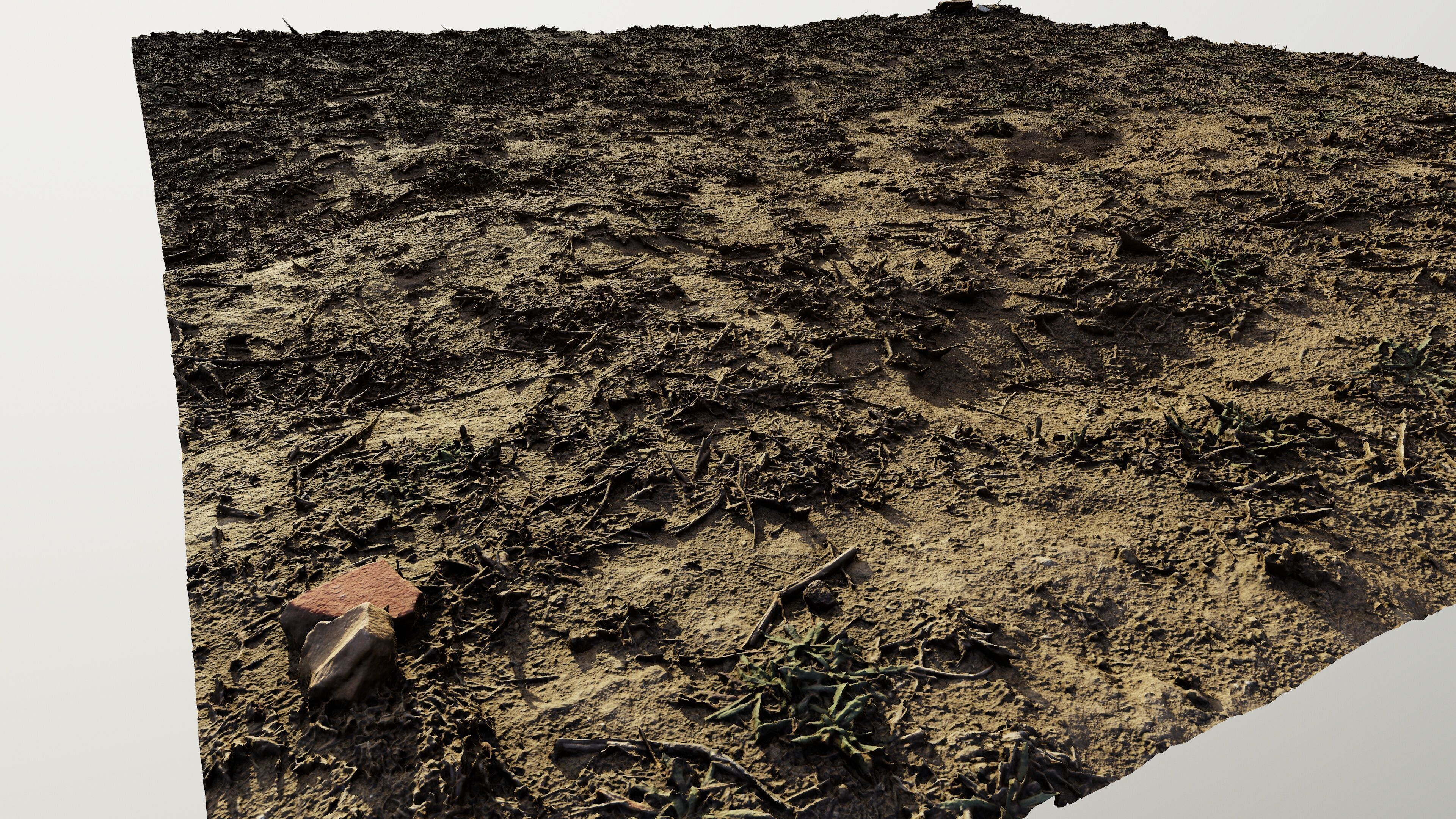 autumngrassgroundscan06102024 3D model_6