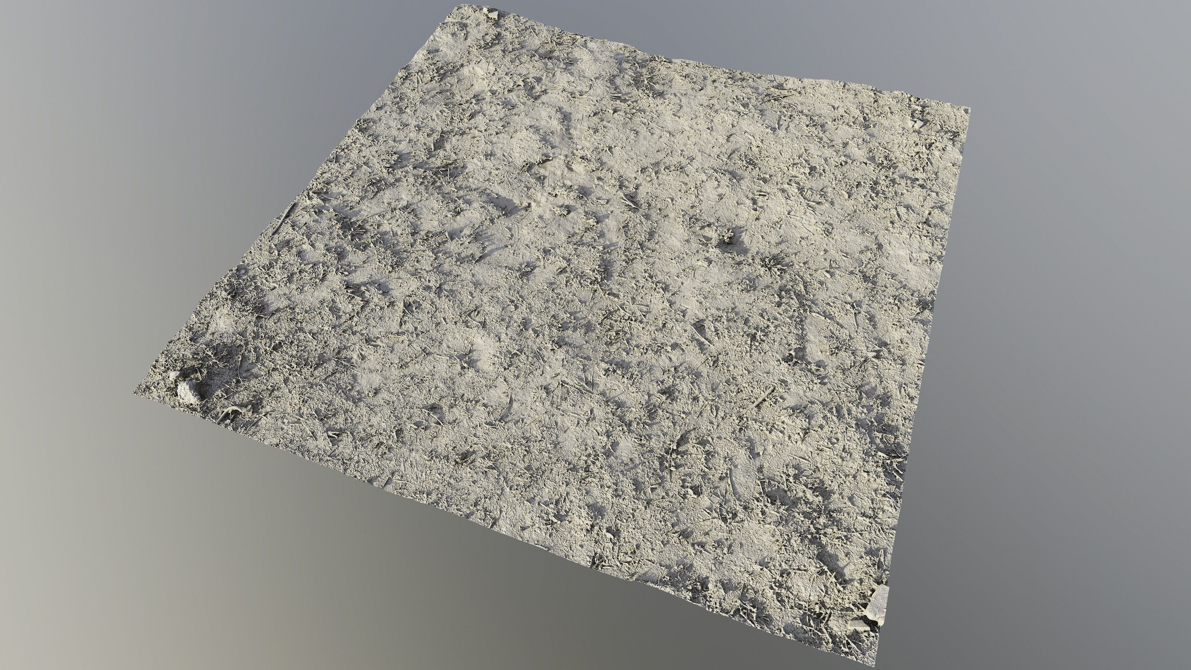 autumngrassgroundscan06102024 3D model_11