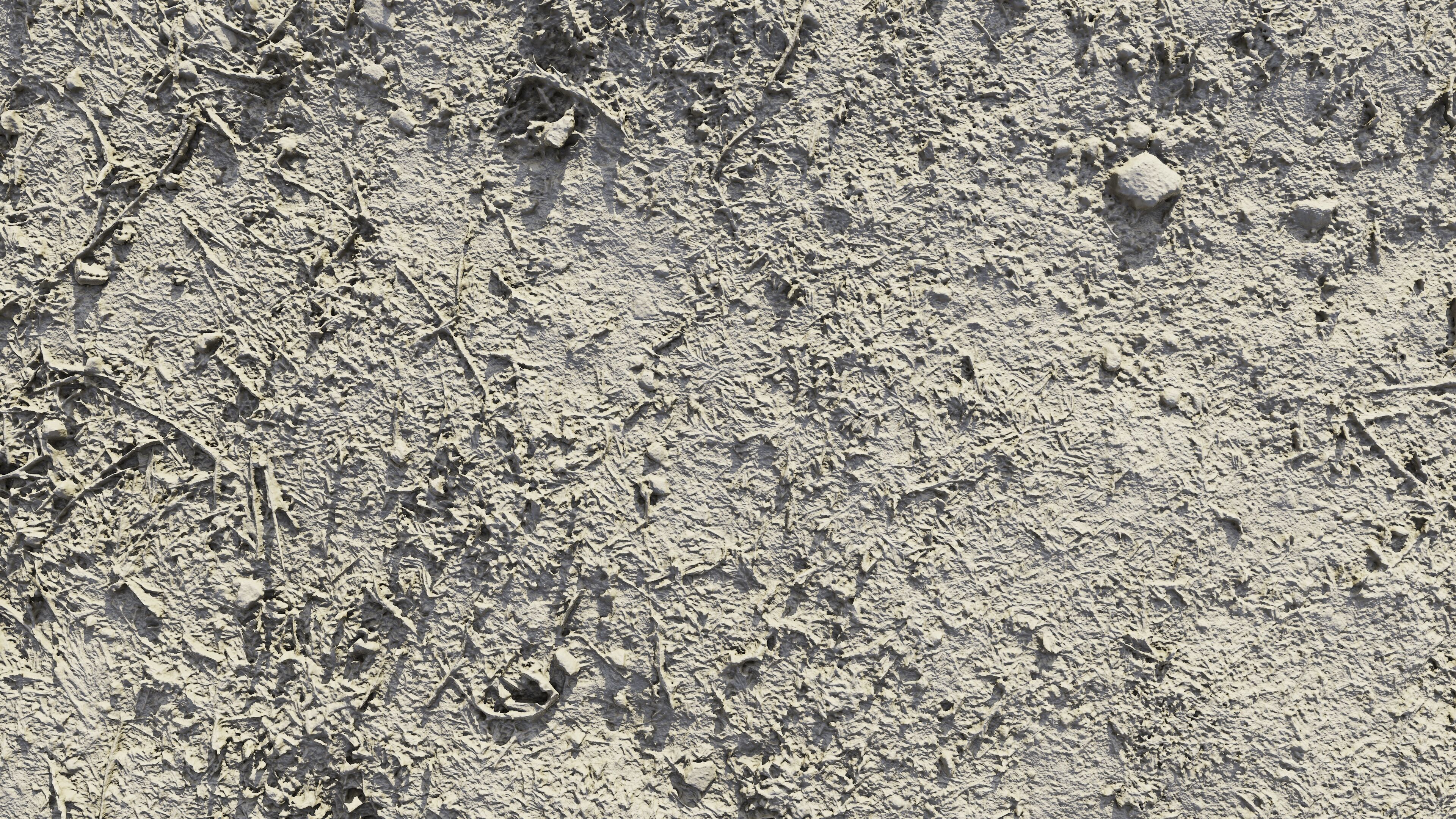 dirtpathscan06102024 3D model_8