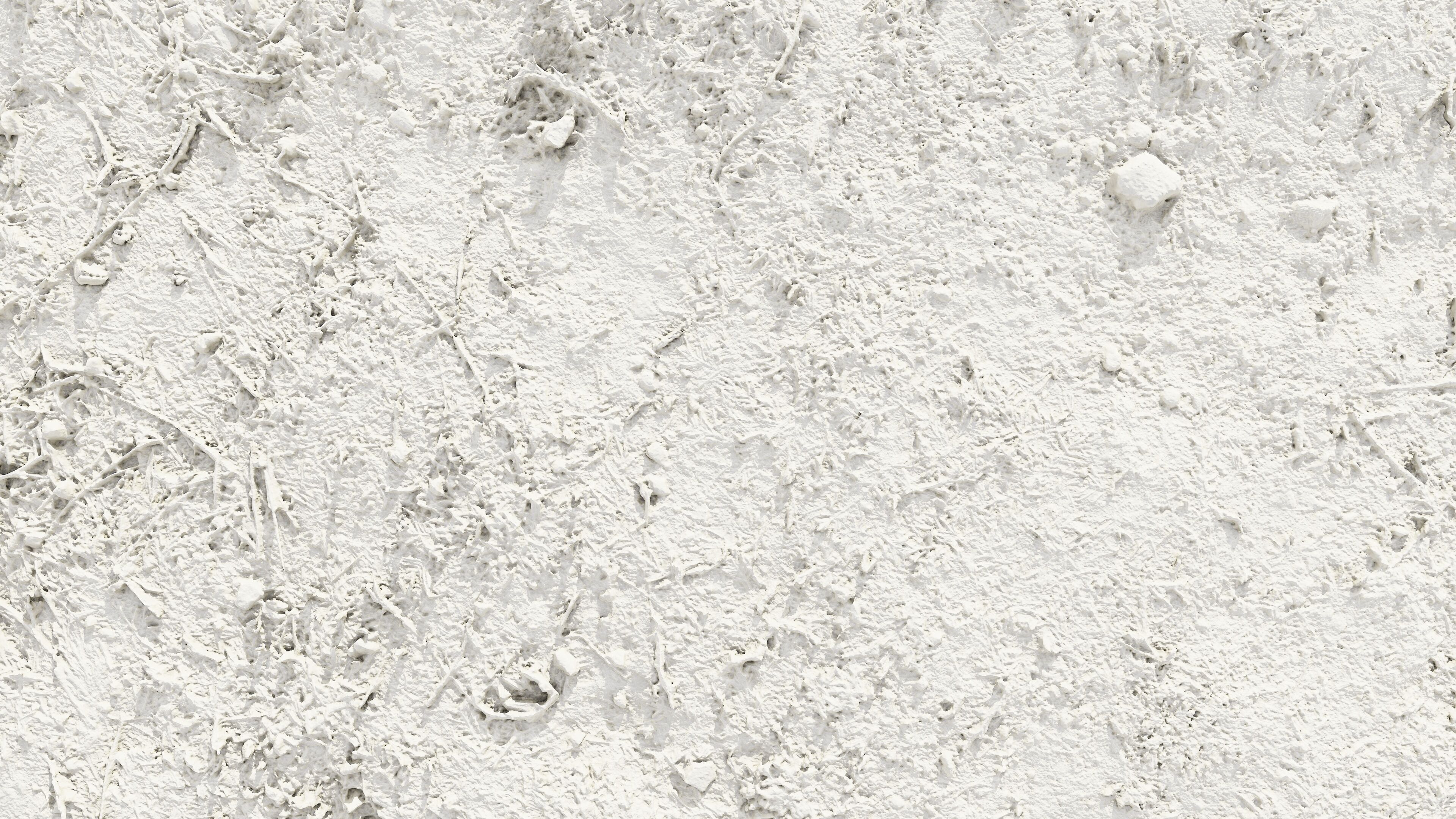 dirtpathscan06102024 3D model_7