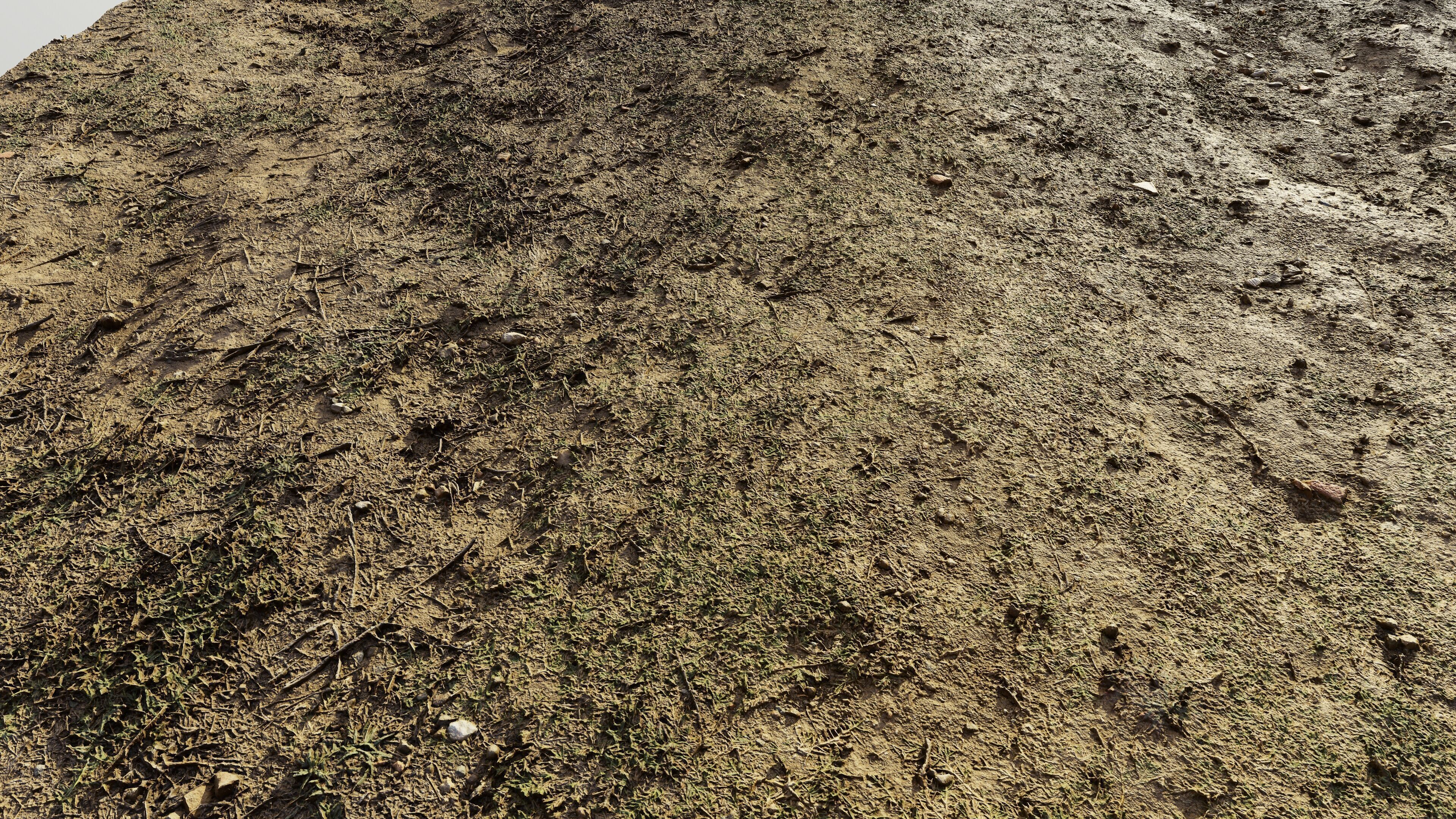 dirtpathscan06102024 3D model_1