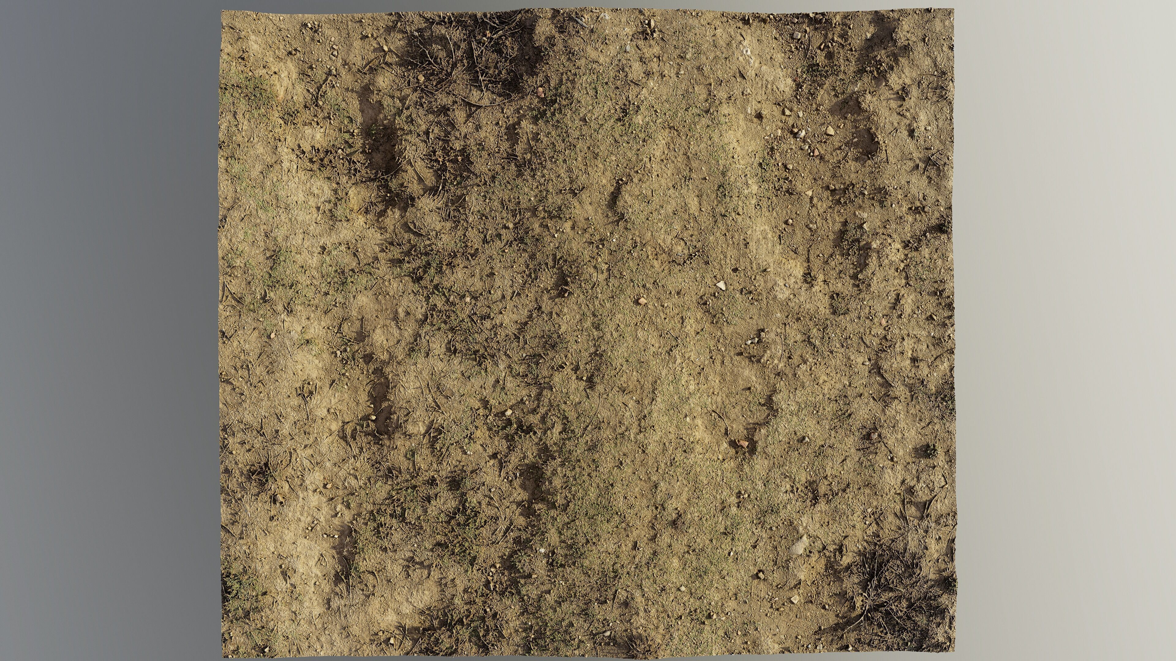 dirtpathscan06102024 3D model_3