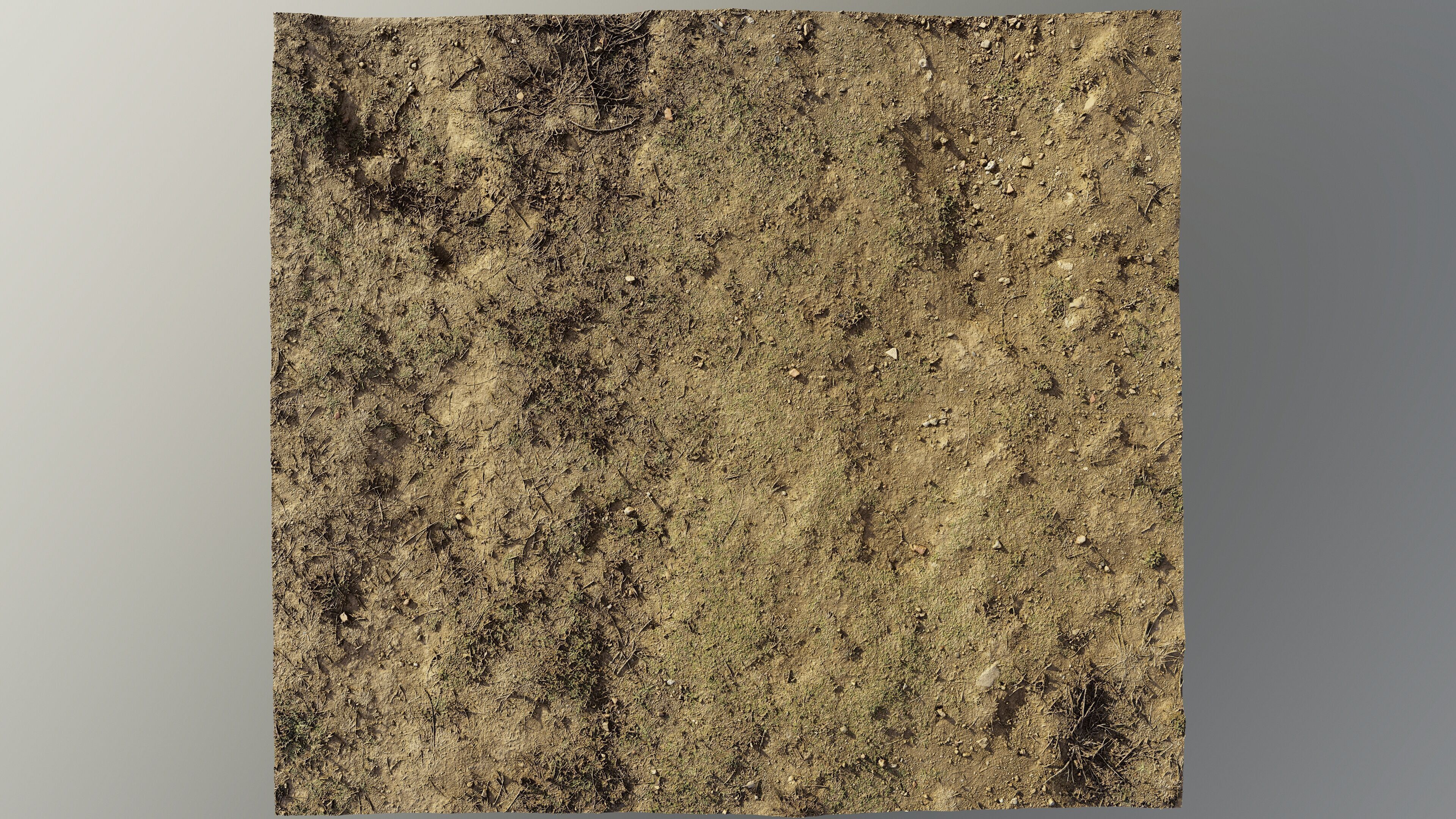 dirtpathscan06102024 3D model_4